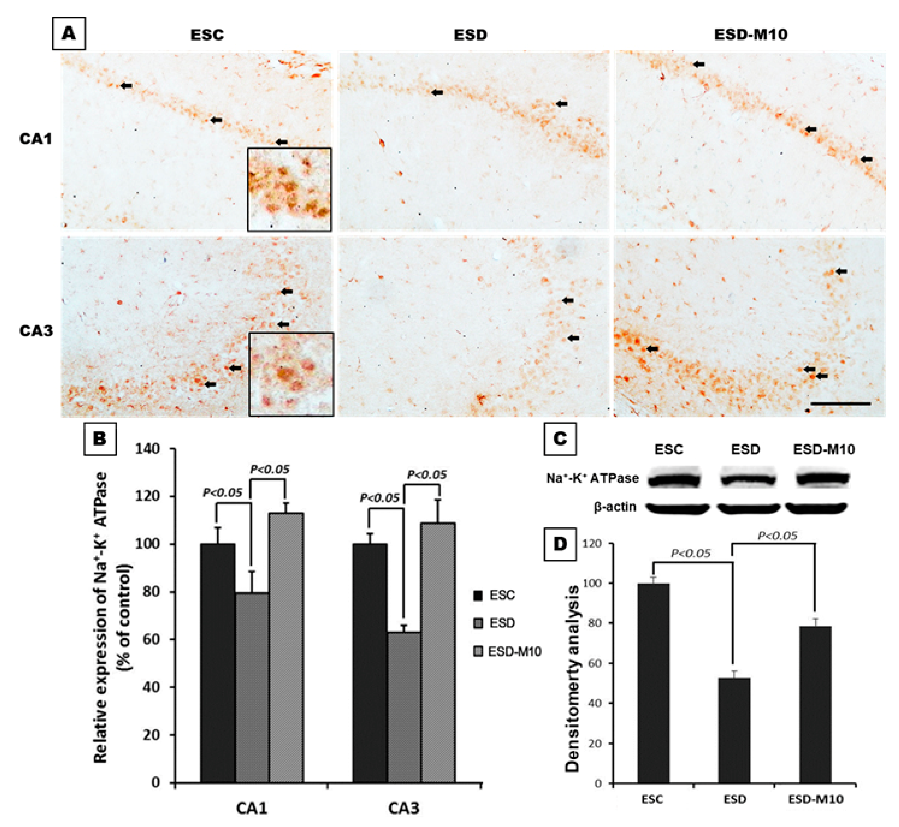 Antioxidants 10 00774 g001 Antioxidants 10 00774 g001
