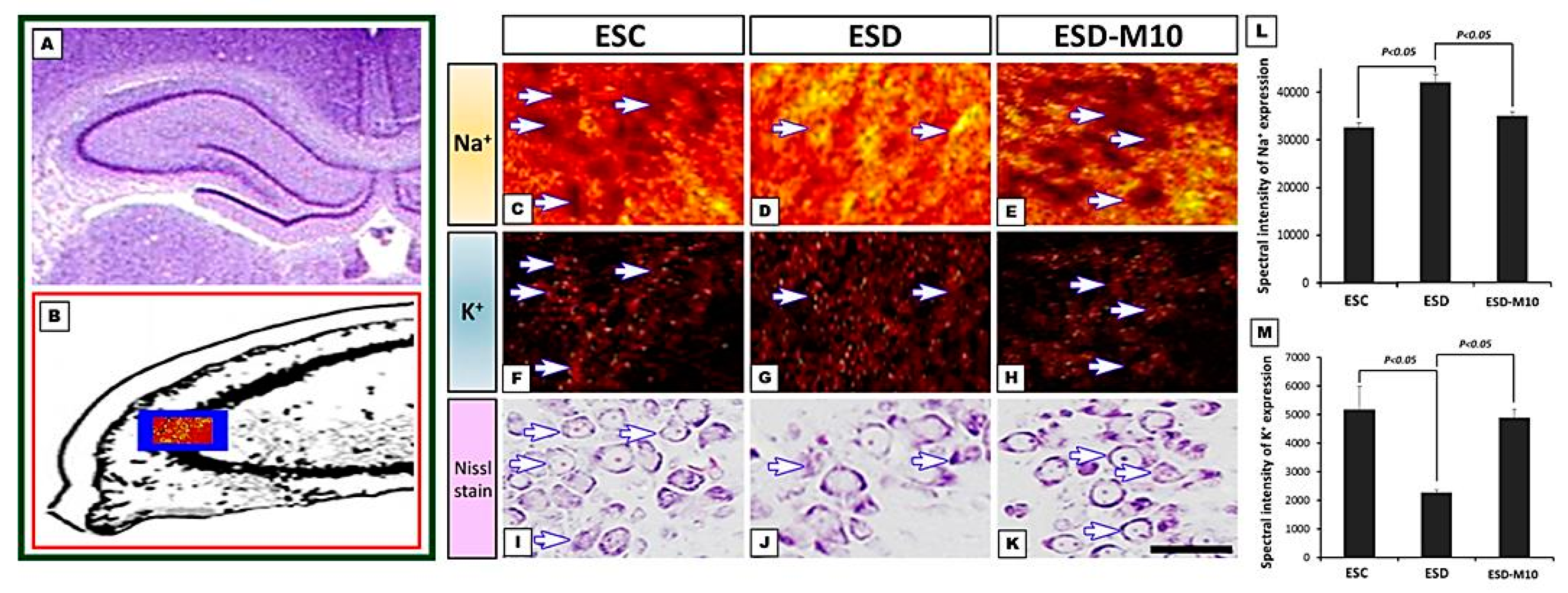 Antioxidants 10 00774 g003 Antioxidants 10 00774 g003
