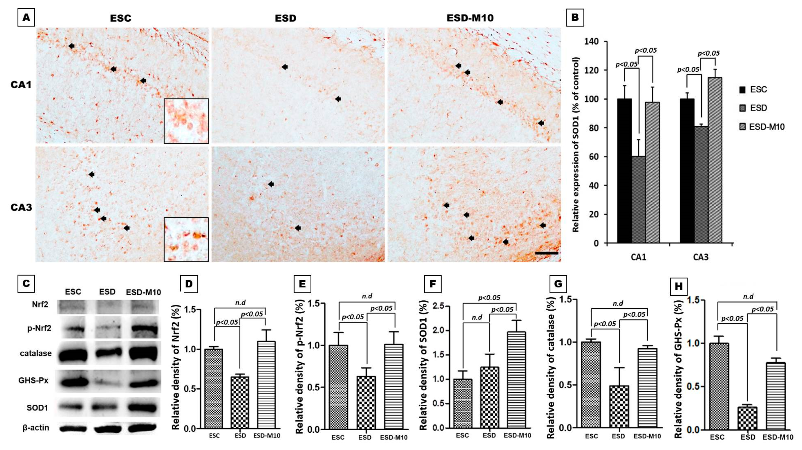 Antioxidants 10 00774 g006 Antioxidants 10 00774 g006