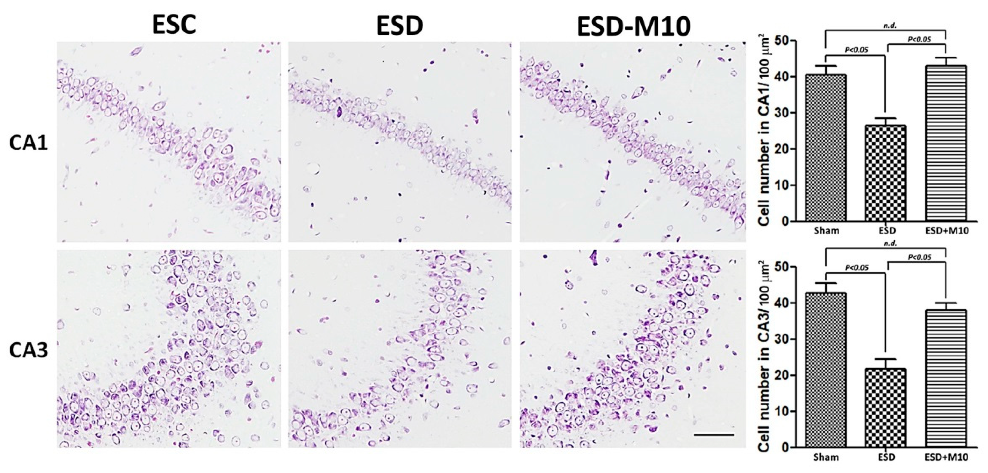 Antioxidants 10 00774 g007 Antioxidants 10 00774 g007