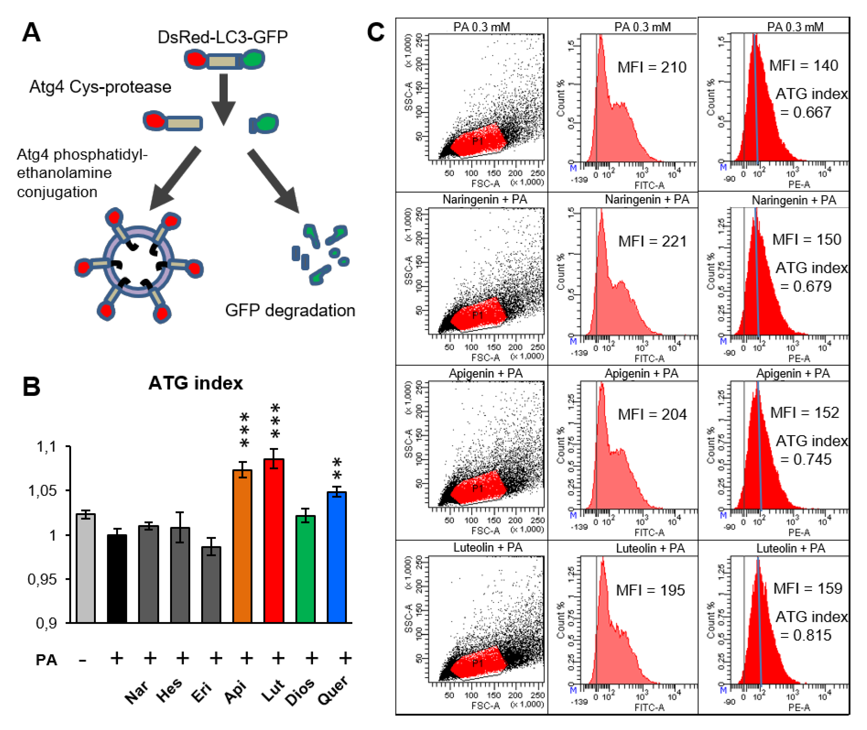 Antioxidants 10 00776 g001