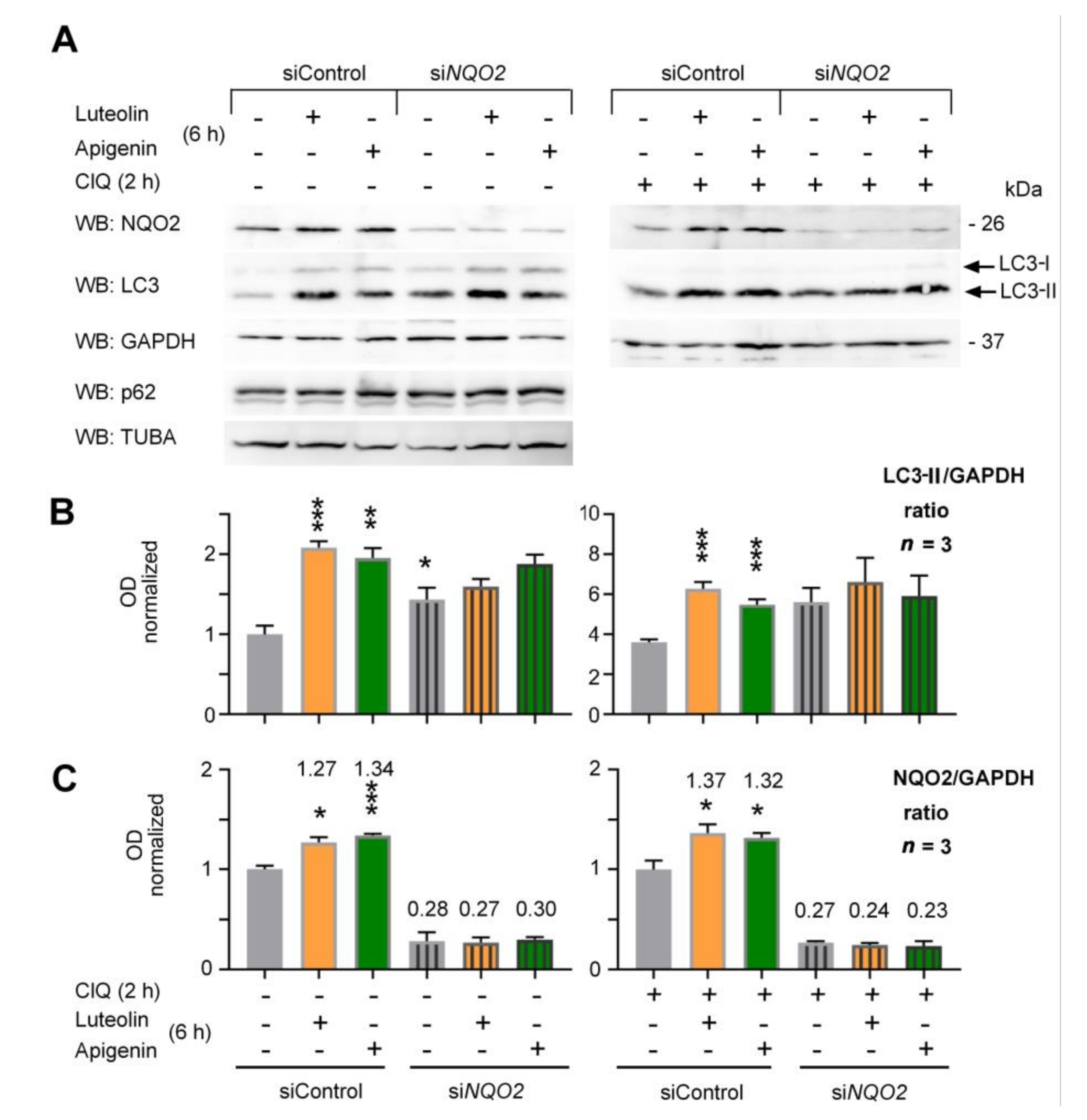 Antioxidants 10 00776 g003