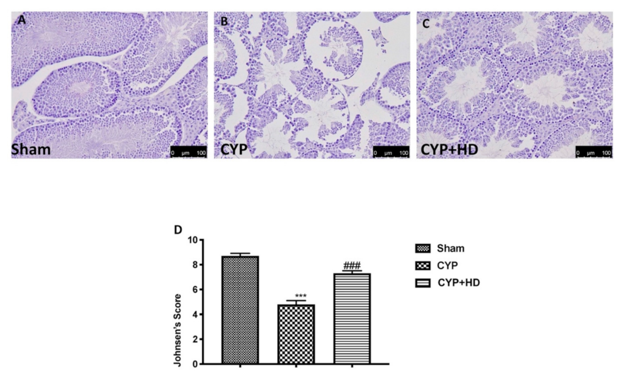 Antioxidants 10 00778 g002 Antioxidants 10 00778 g002