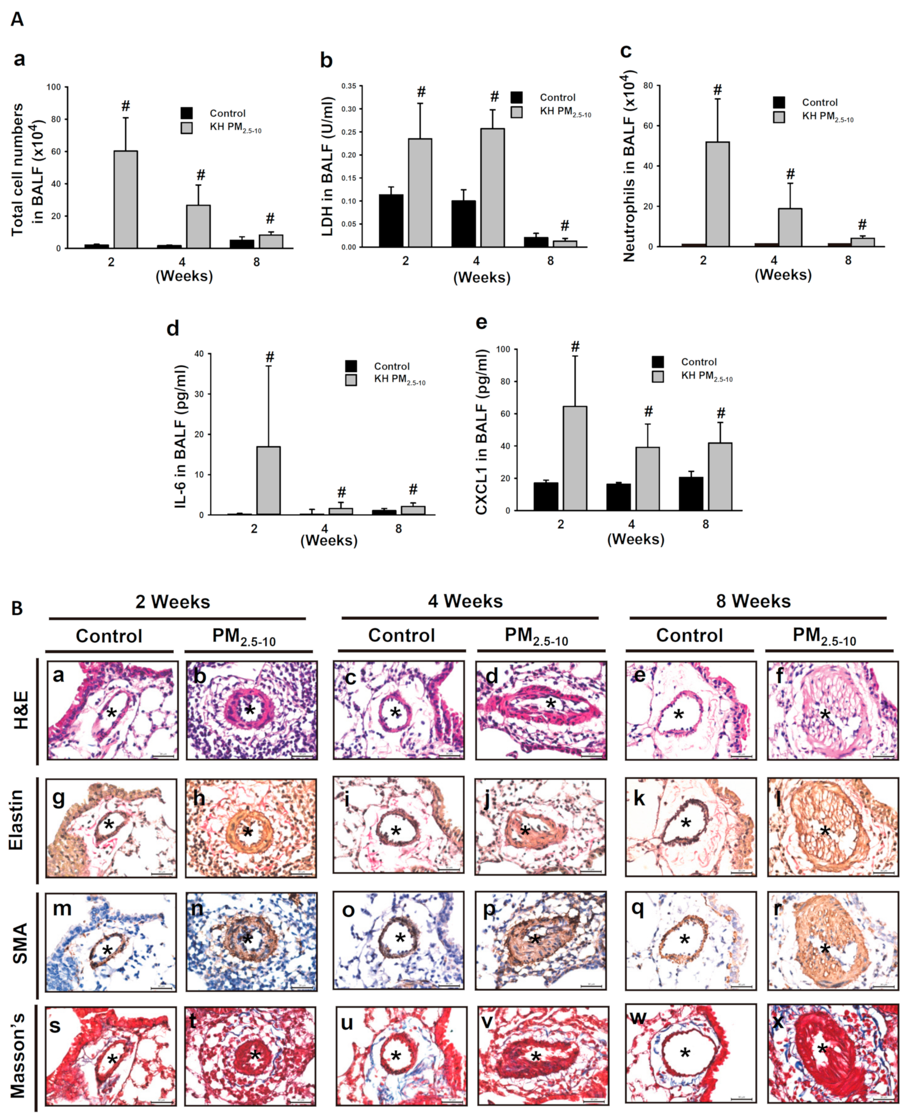 Antioxidants 10 00782 g001 Antioxidants 10 00782 g001