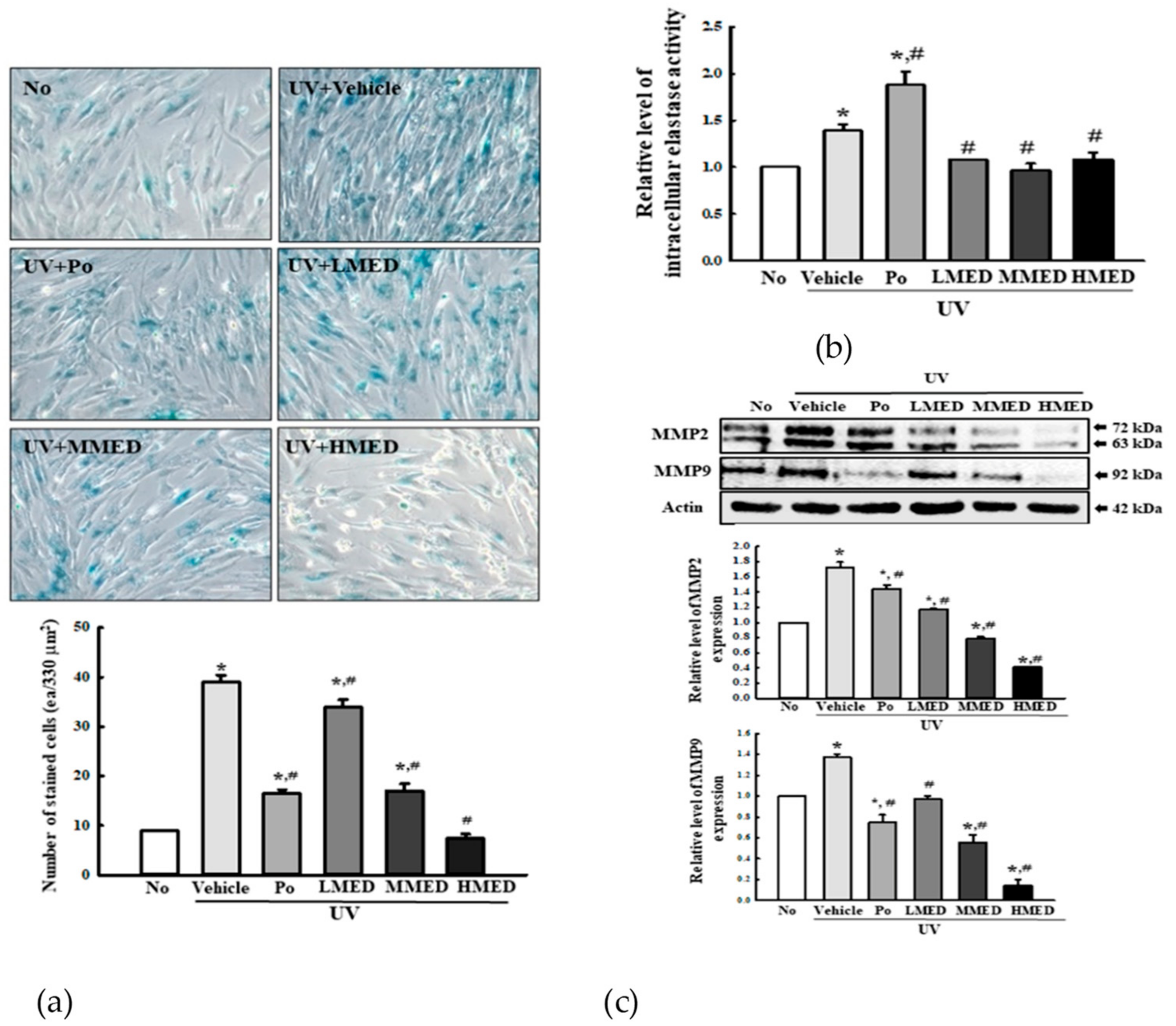Antioxidants 10 00791 g005