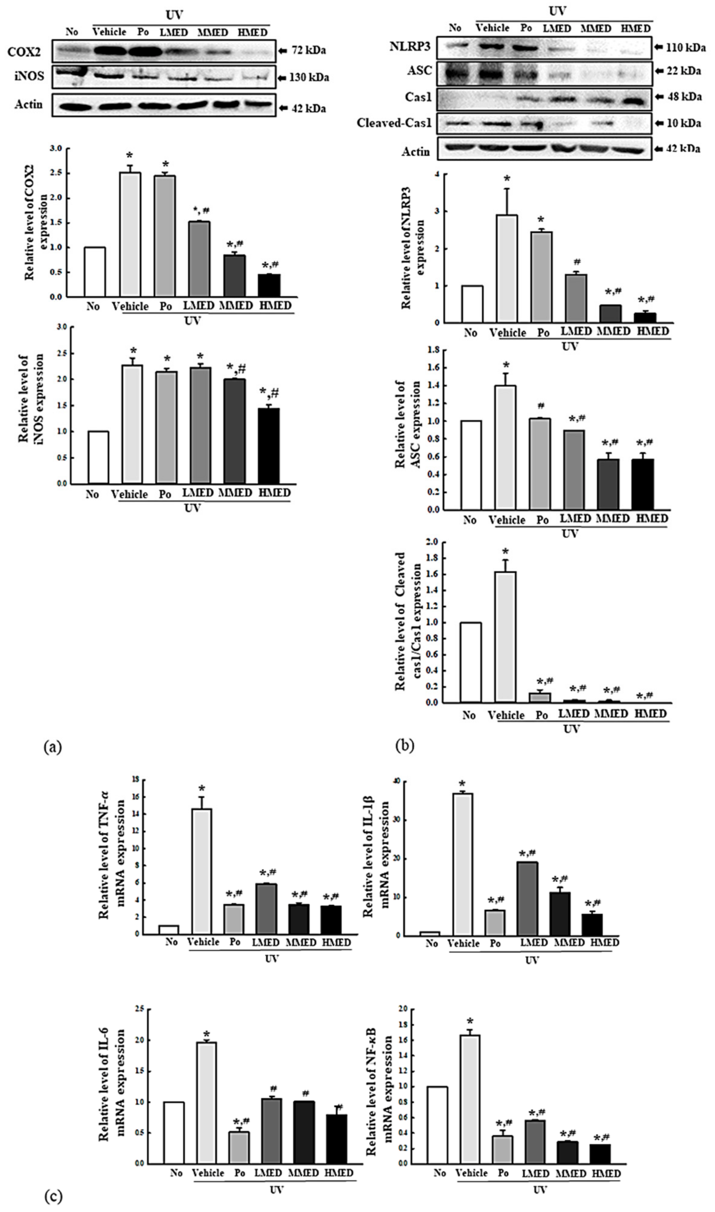 Antioxidants 10 00791 g006