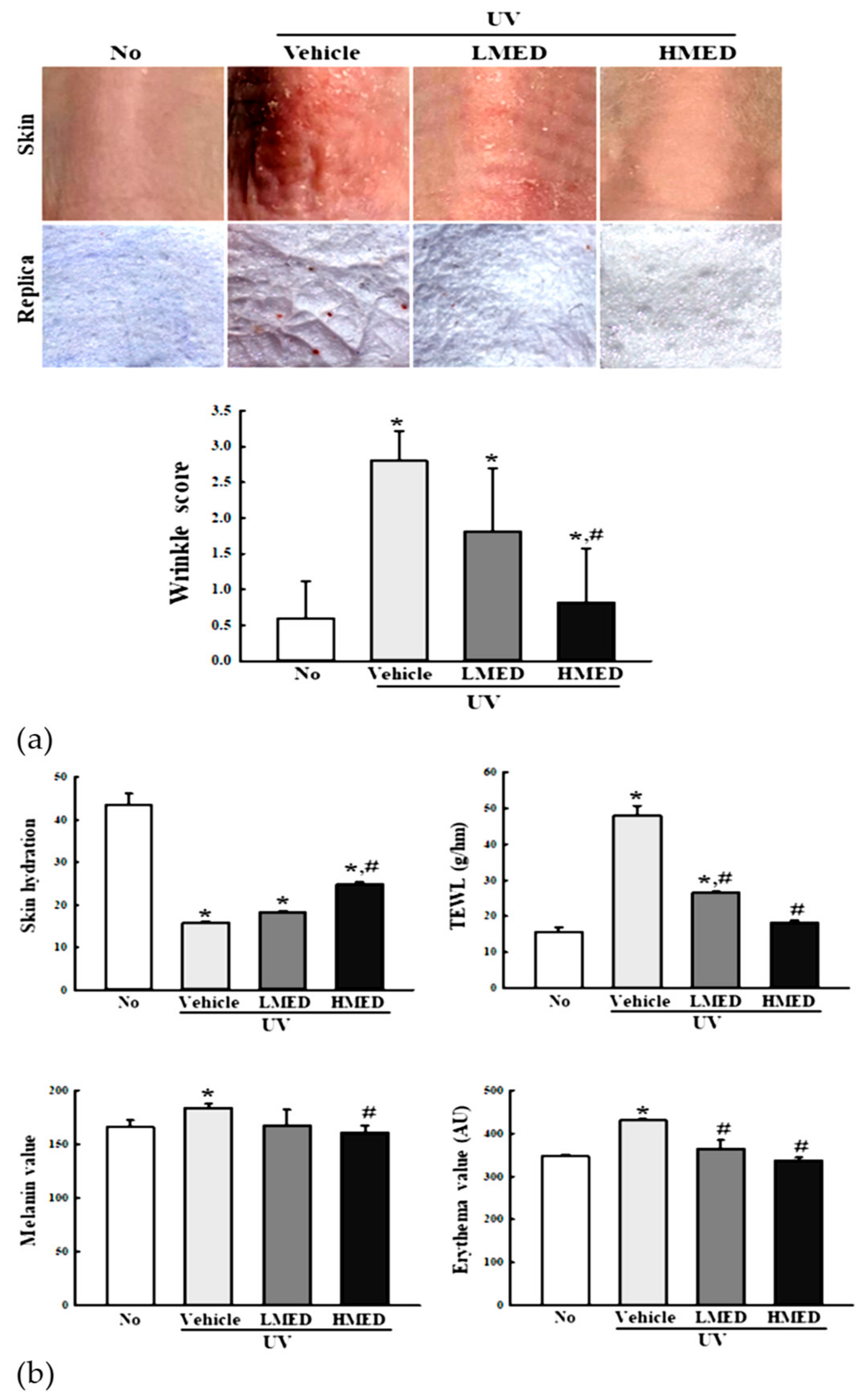 Antioxidants 10 00791 g007