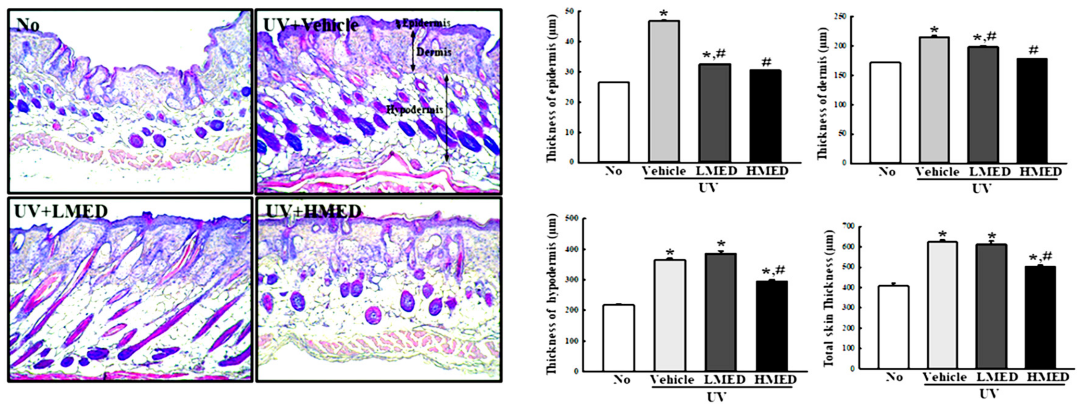 Antioxidants 10 00791 g008