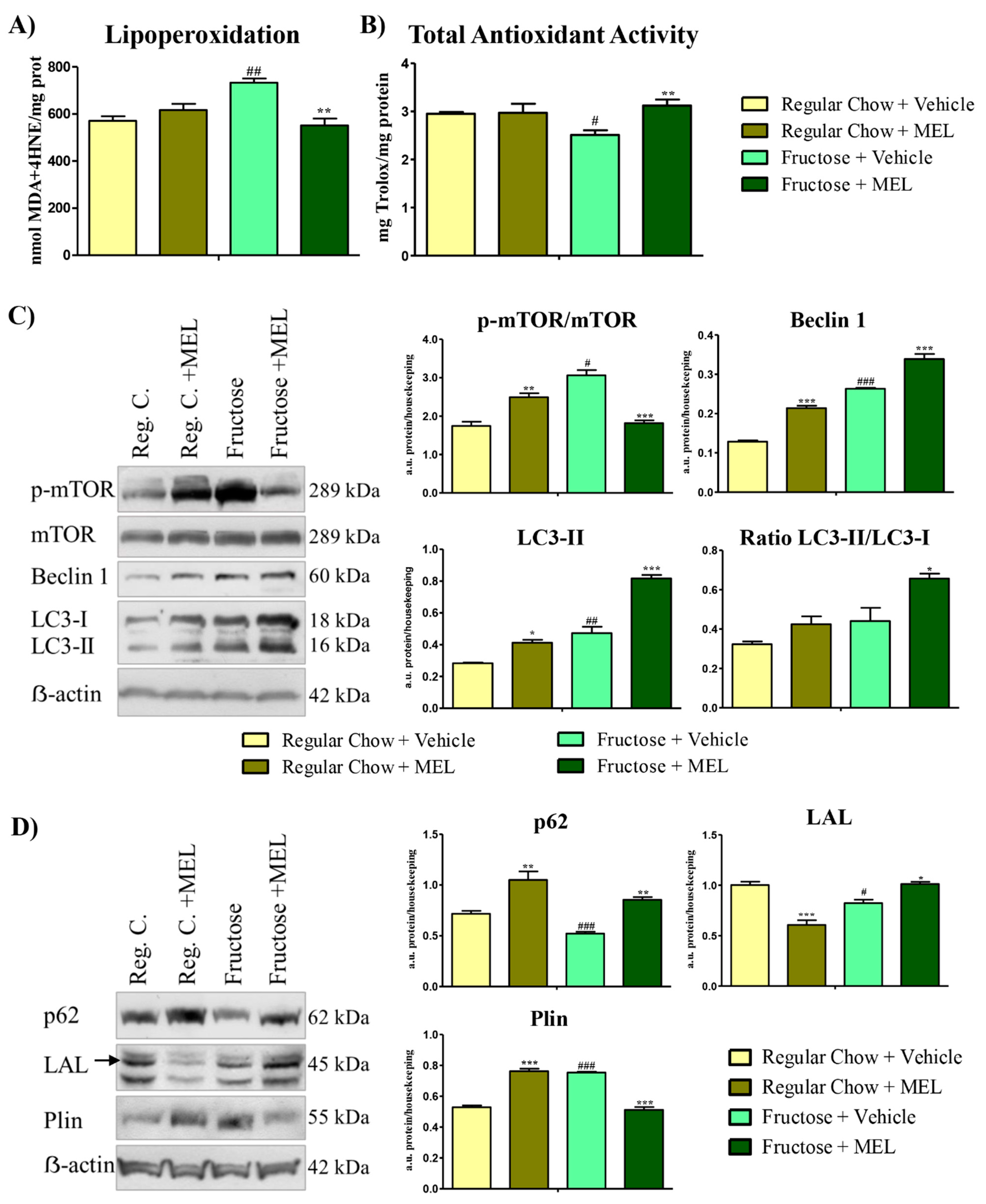 Antioxidants 10 00796 g003