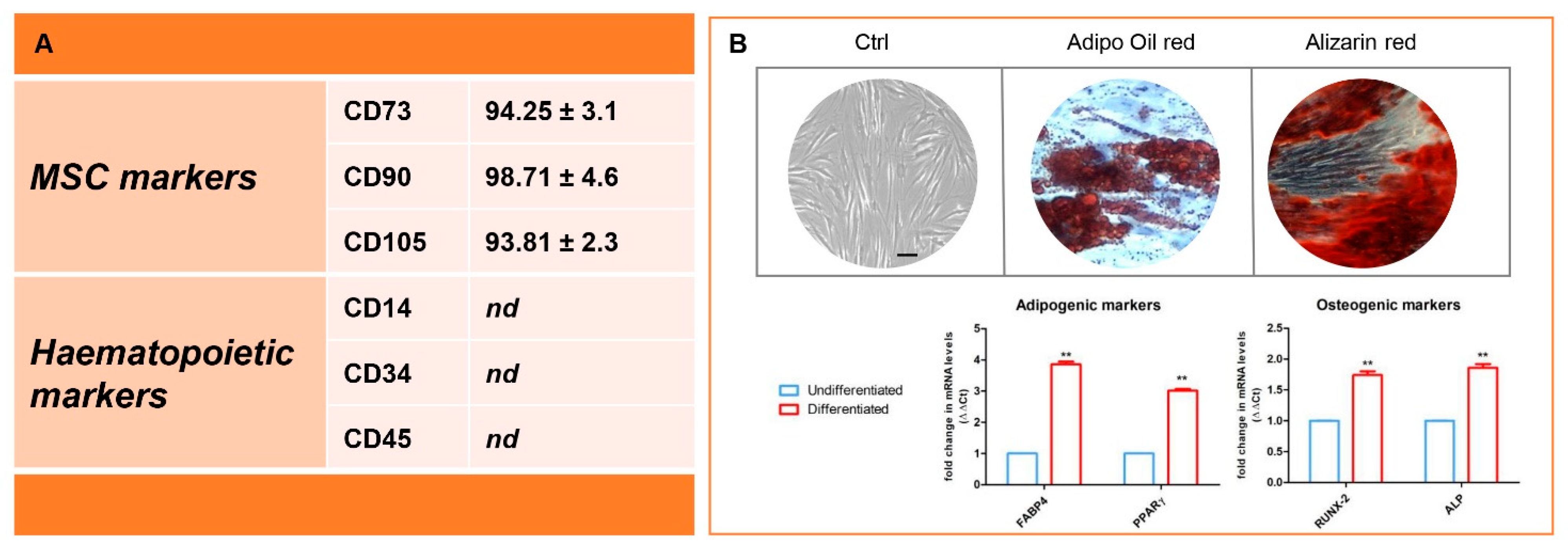 Antioxidants 10 00797 g001 Antioxidants 10 00797 g001