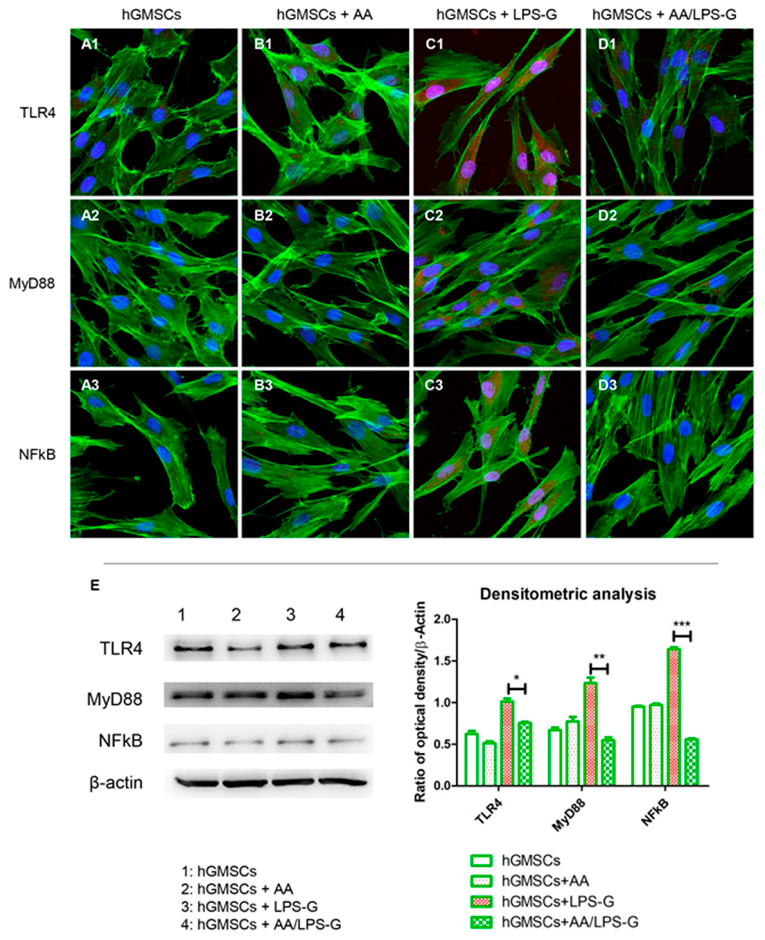 Antioxidants 10 00797 g004 Antioxidants 10 00797 g004