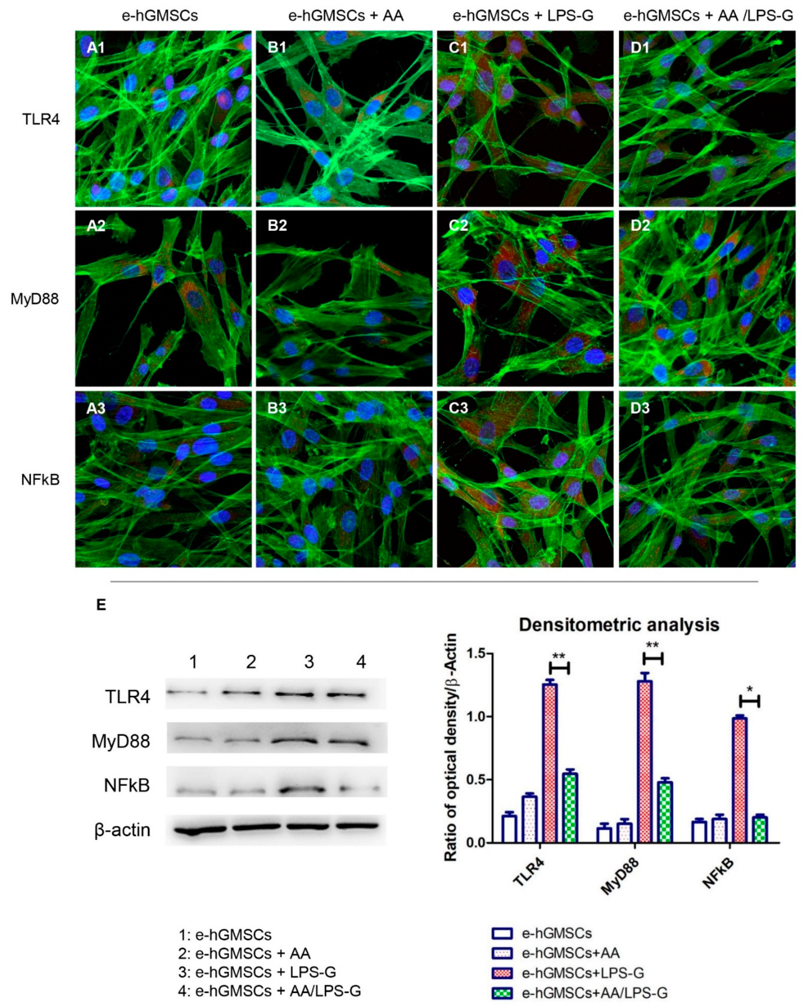 Antioxidants 10 00797 g006 Antioxidants 10 00797 g006