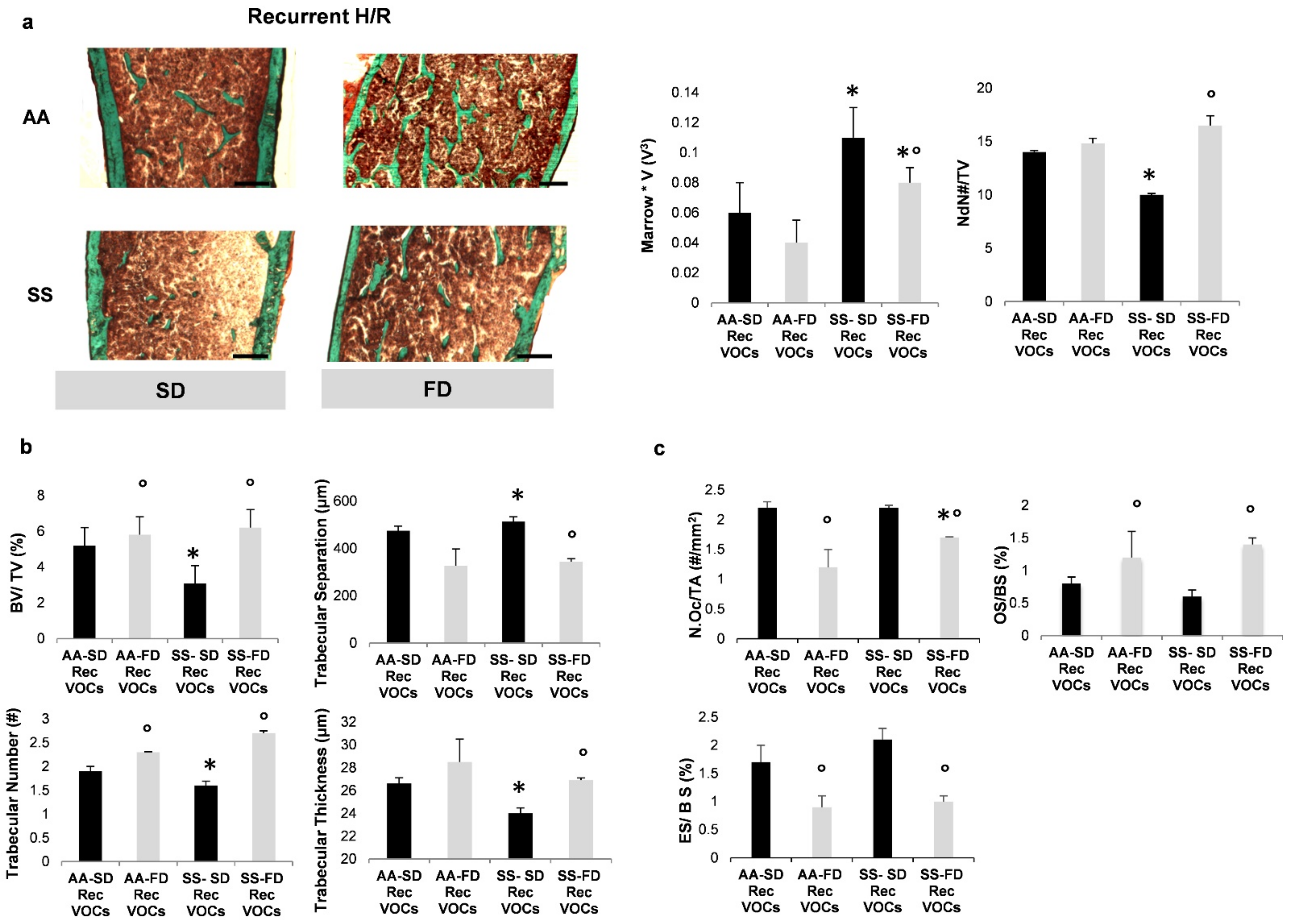 Antioxidants 10 00799 g002 Antioxidants 10 00799 g002