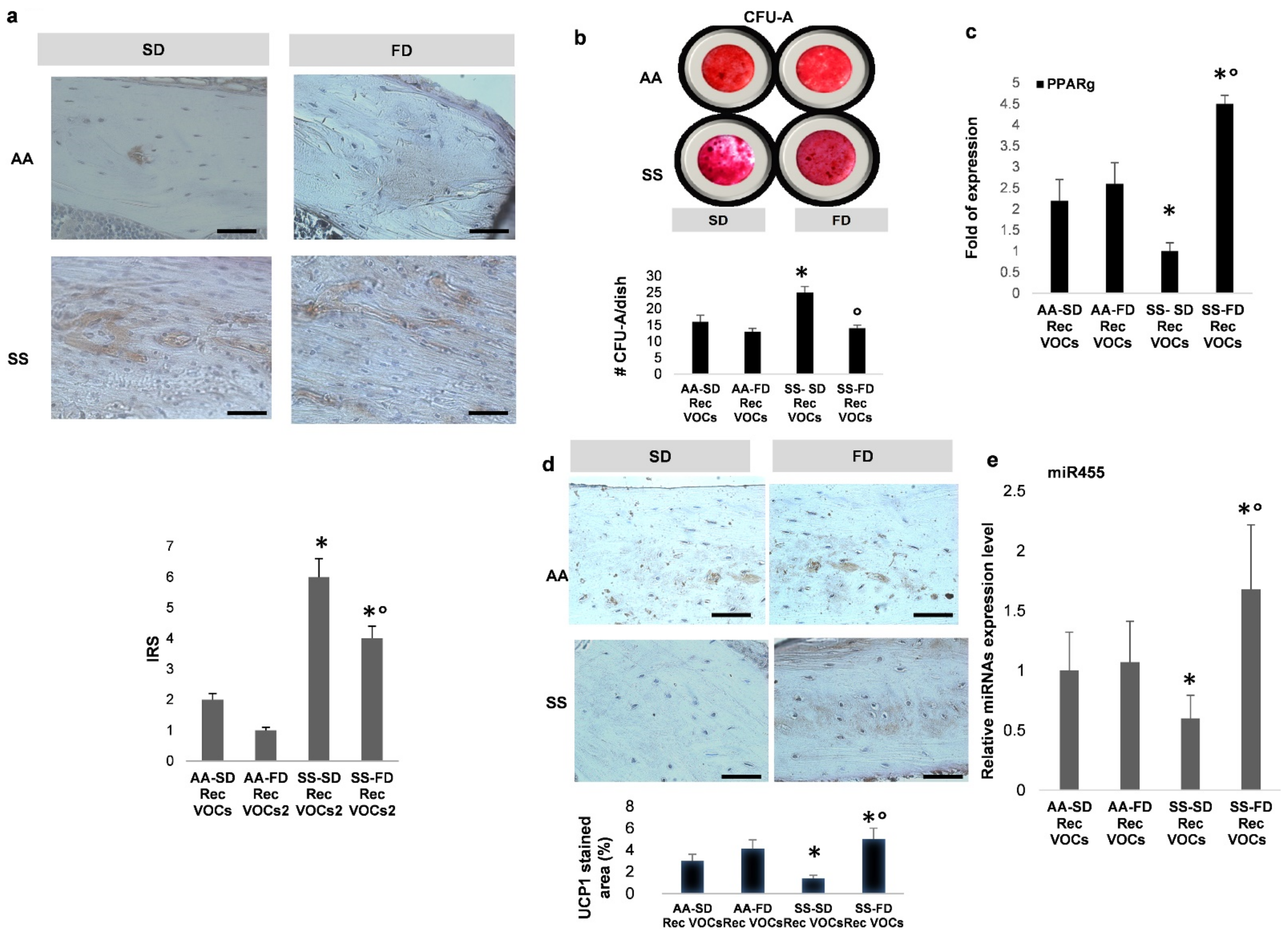 Antioxidants 10 00799 g004 Antioxidants 10 00799 g004