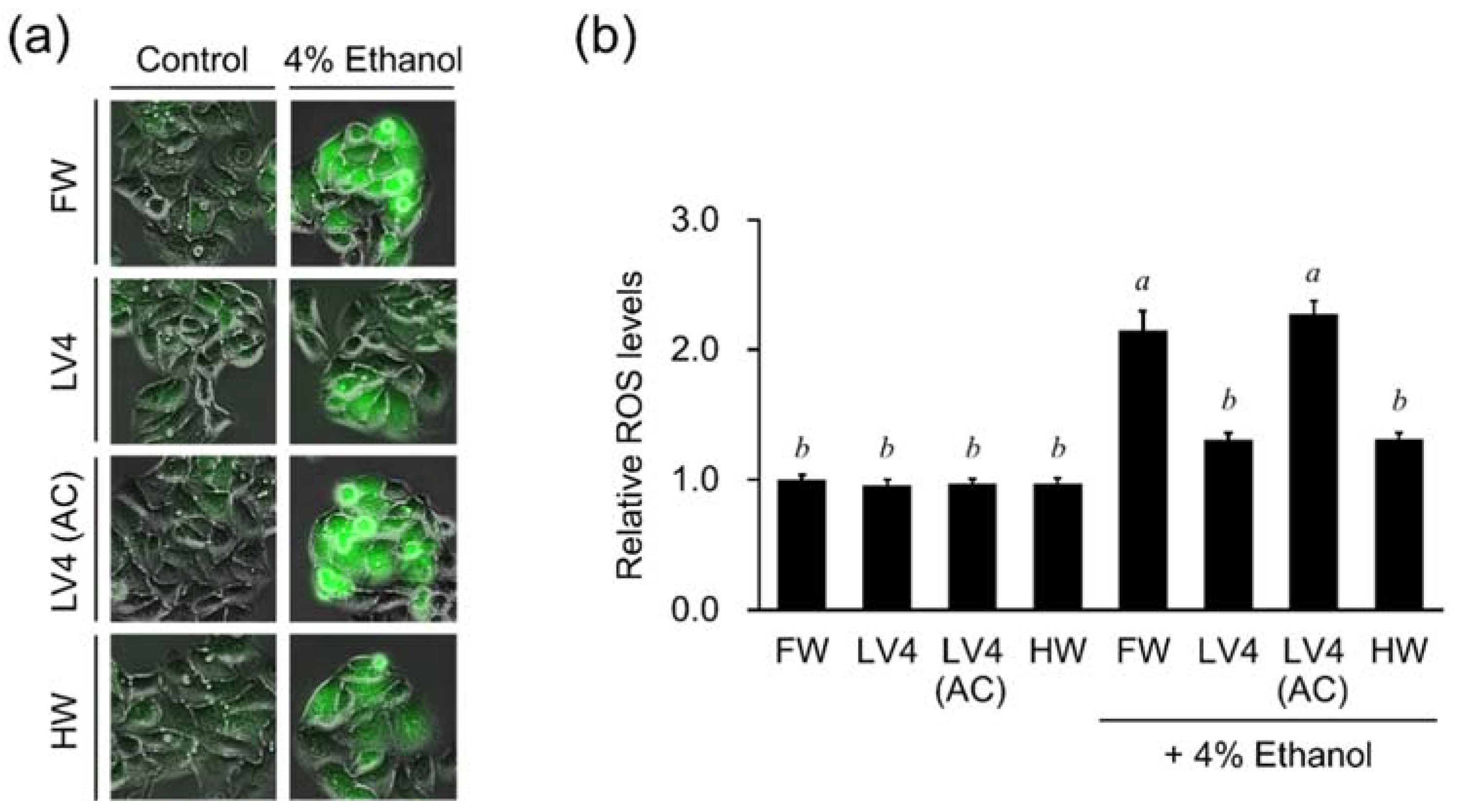 Antioxidants 10 00801 g004