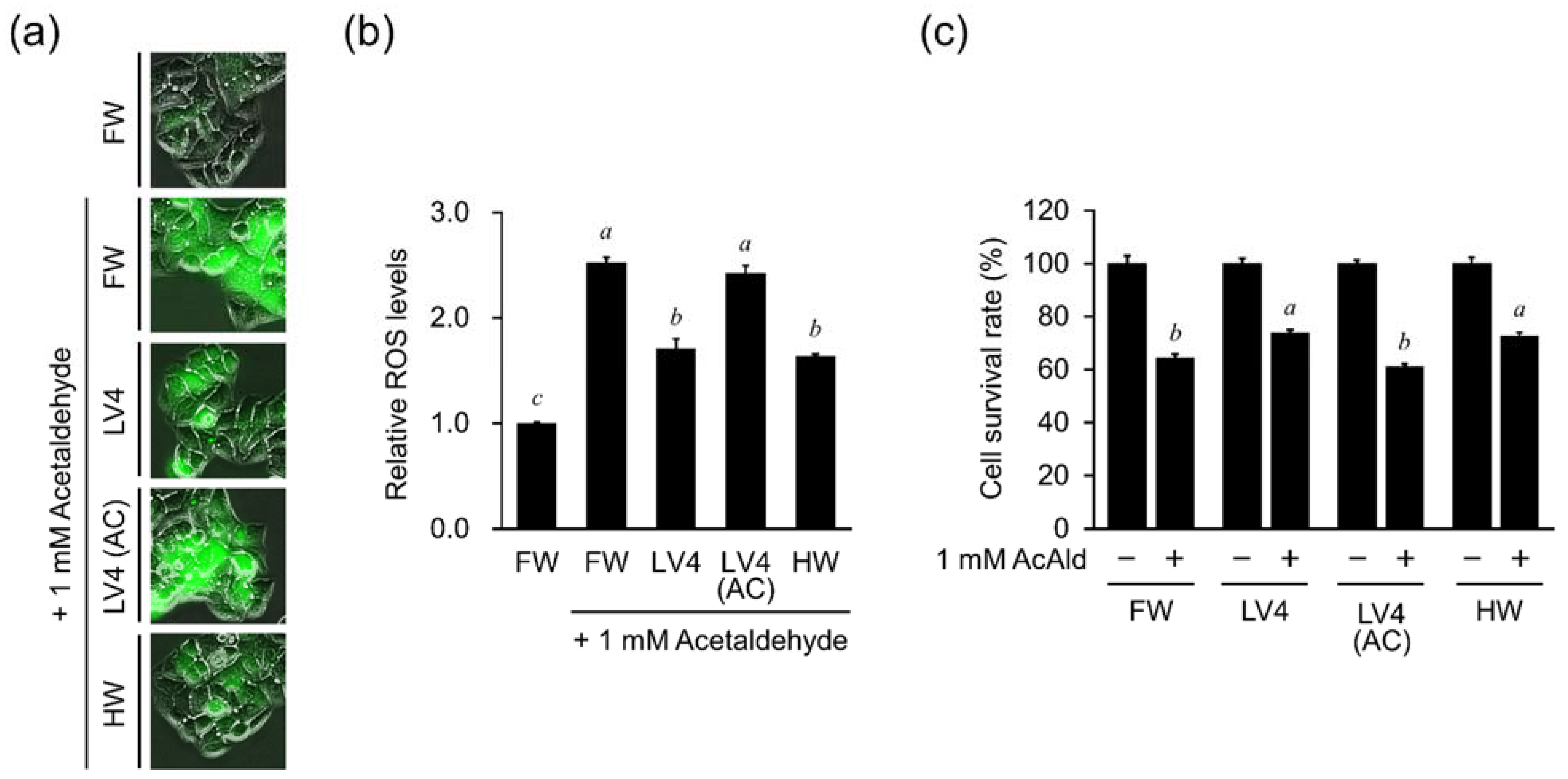 Antioxidants 10 00801 g005