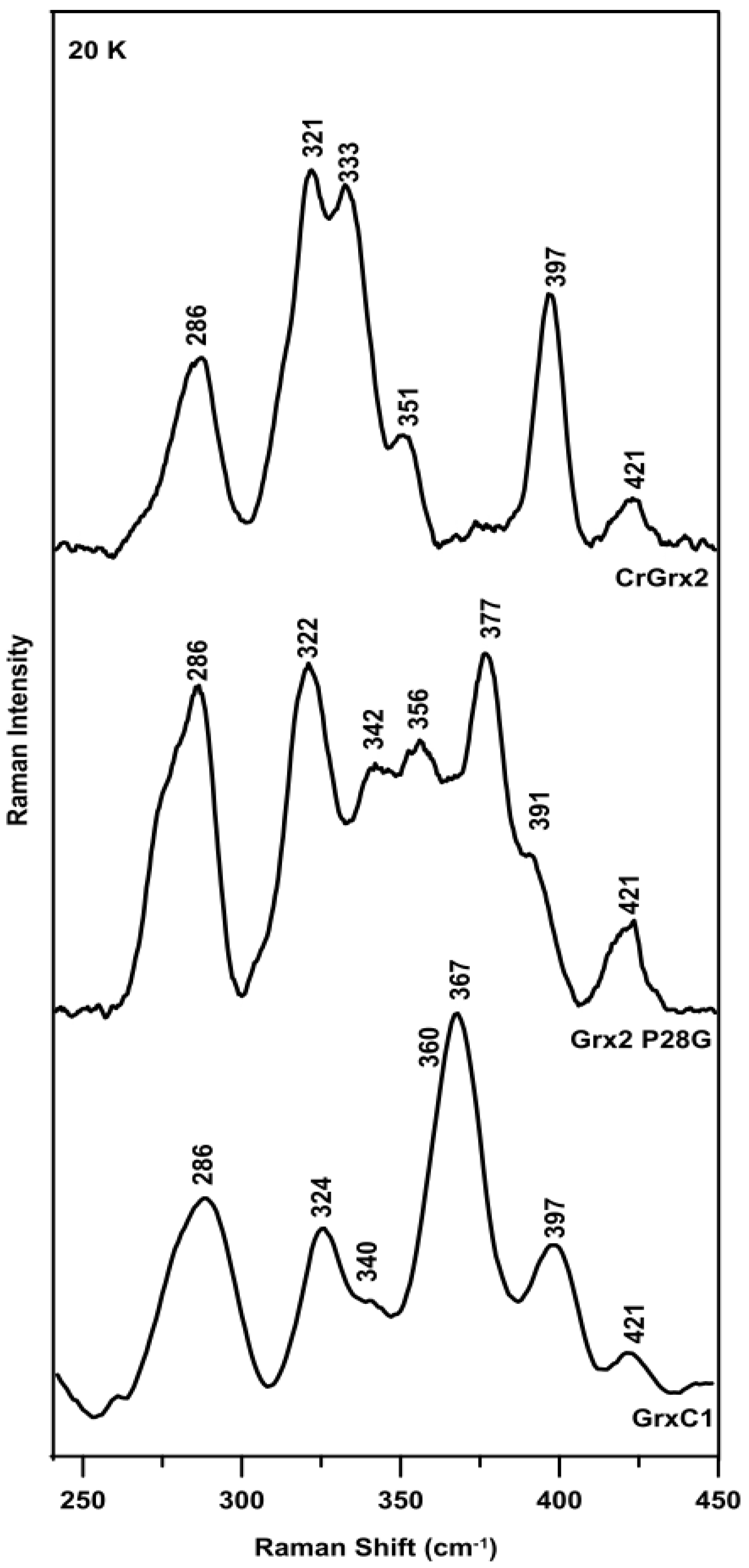 Antioxidants 10 00803 g002