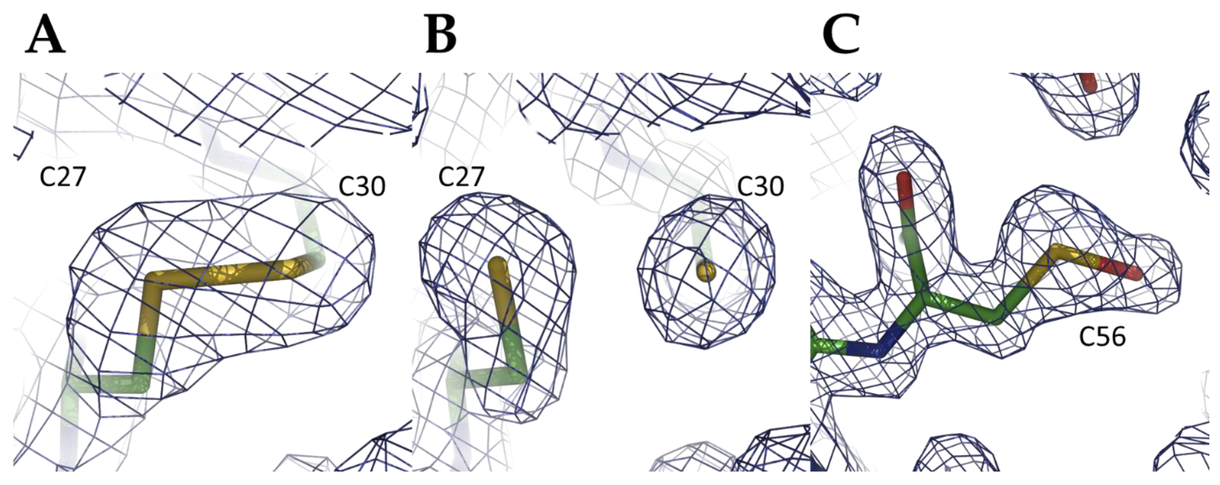 Antioxidants 10 00803 g005