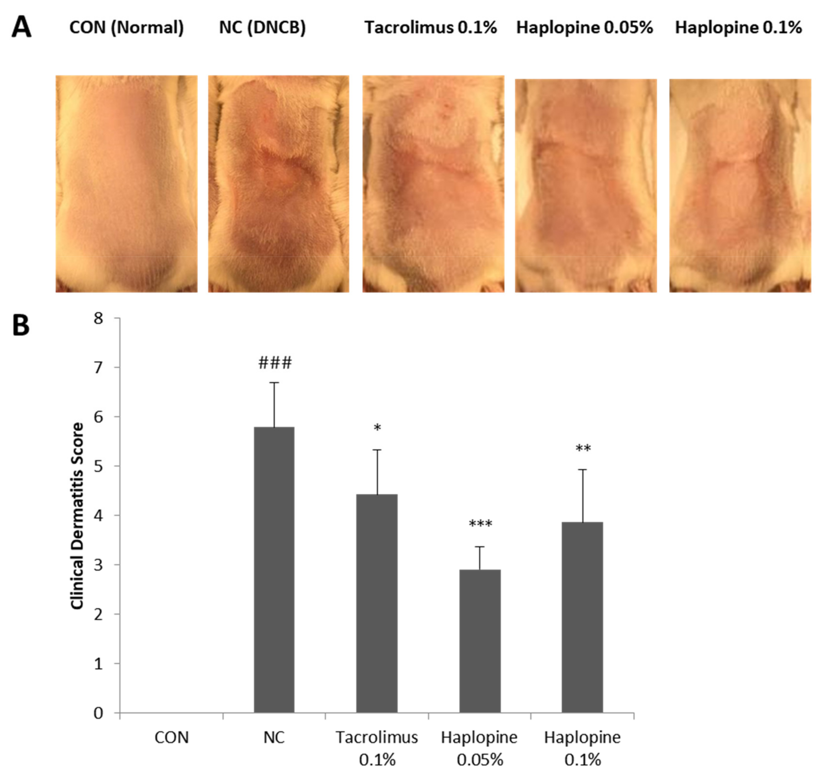 Antioxidants 10 00806 g006
