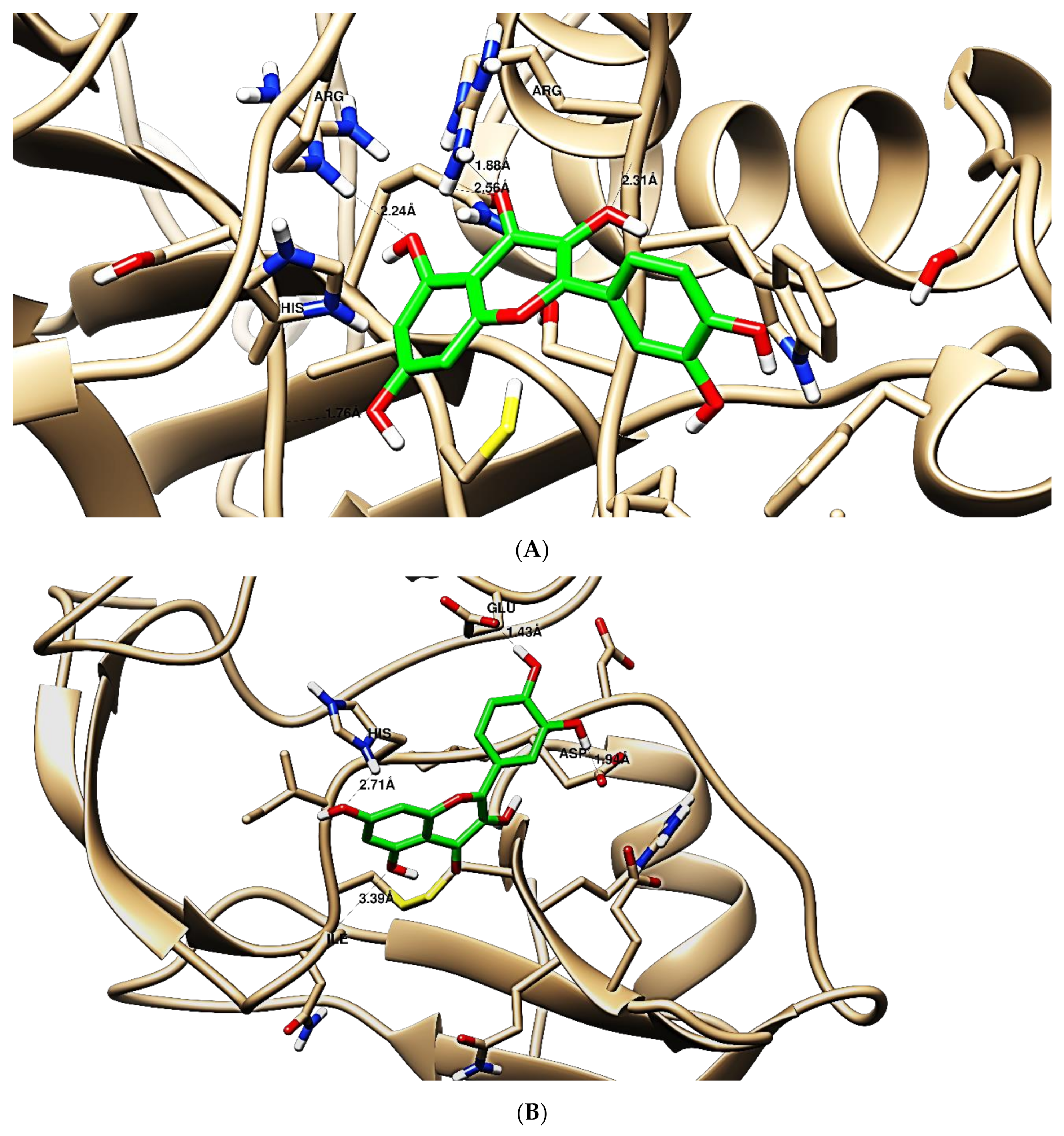Antioxidants 10 00825 g008 Antioxidants 10 00825 g008