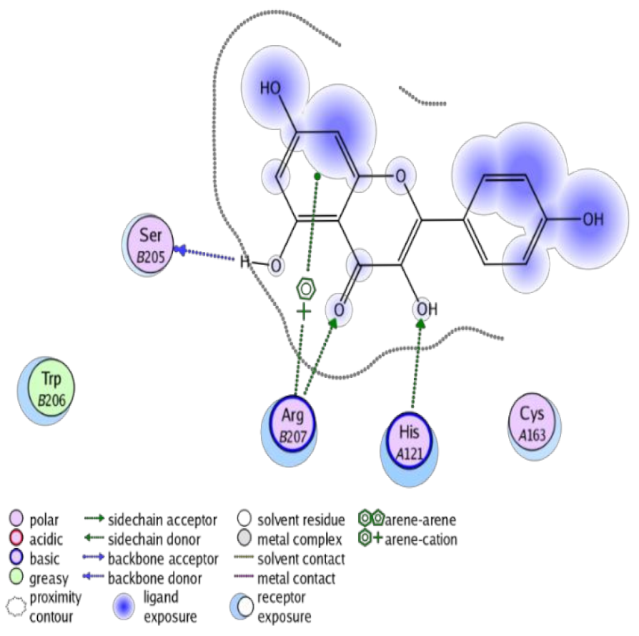 Antioxidants 10 00825 i003 Antioxidants 10 00825 i003