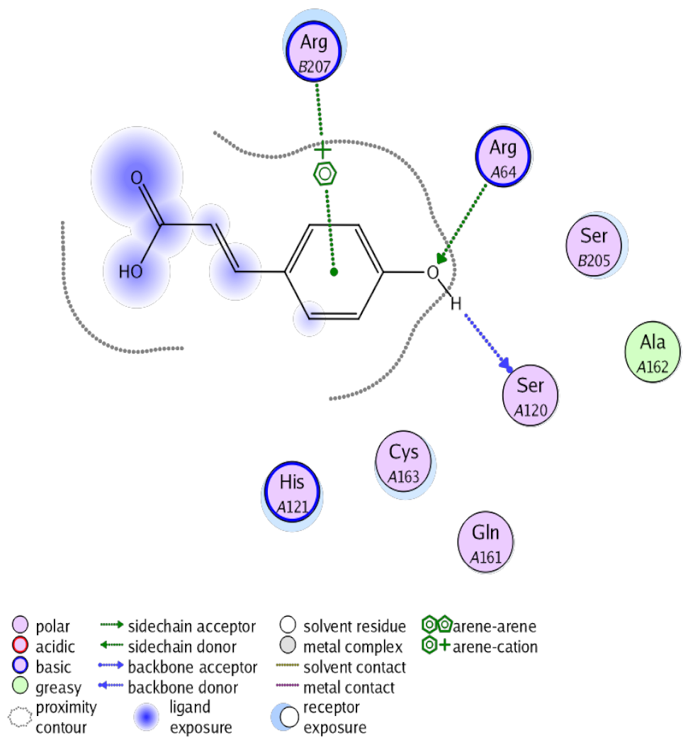 Antioxidants 10 00825 i005 Antioxidants 10 00825 i005