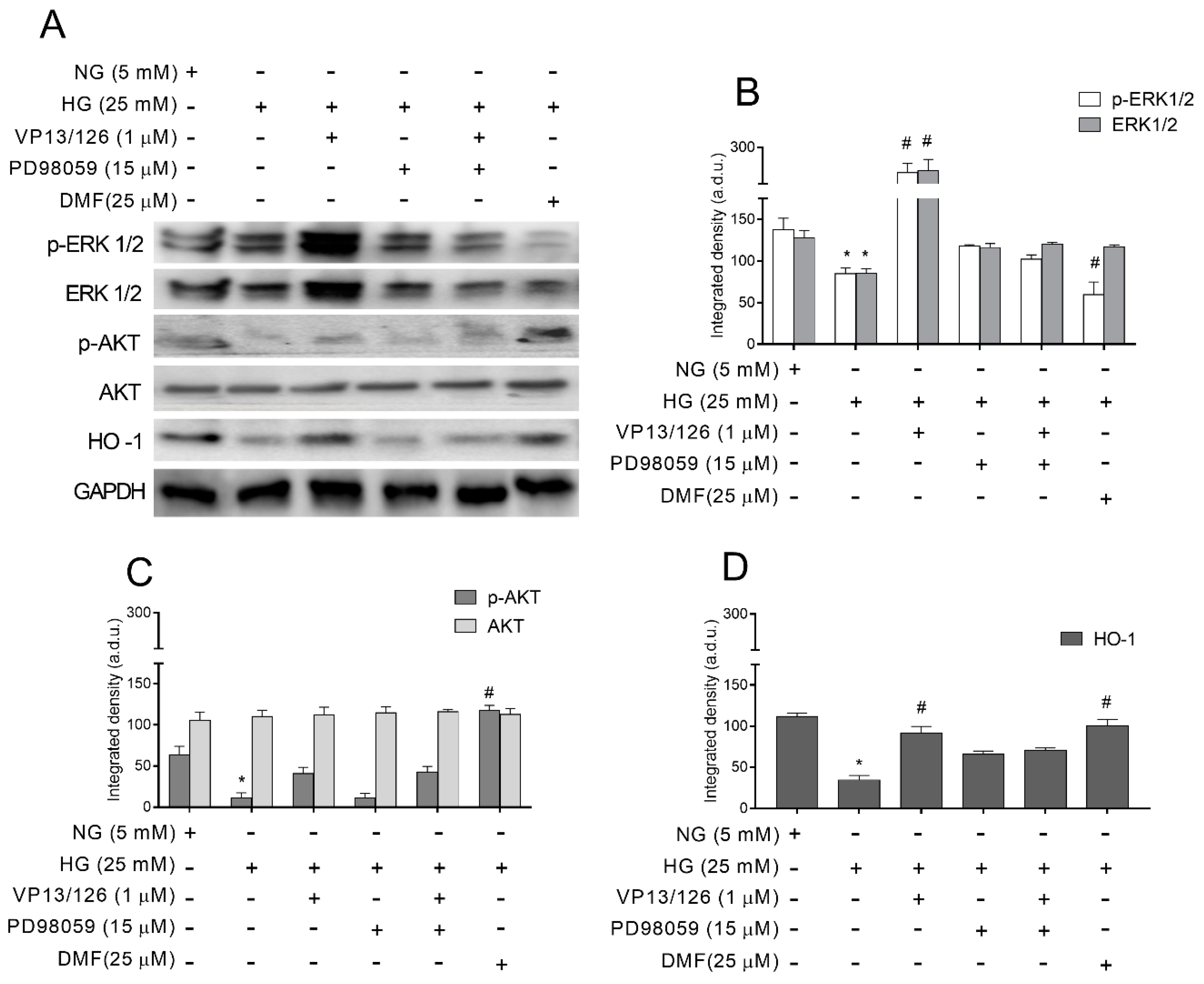 Antioxidants Free Full Text Glucose Impaired Corneal Re Epithelialization Is Promoted A Novel Derivate Of Dimethyl Fumarate Html