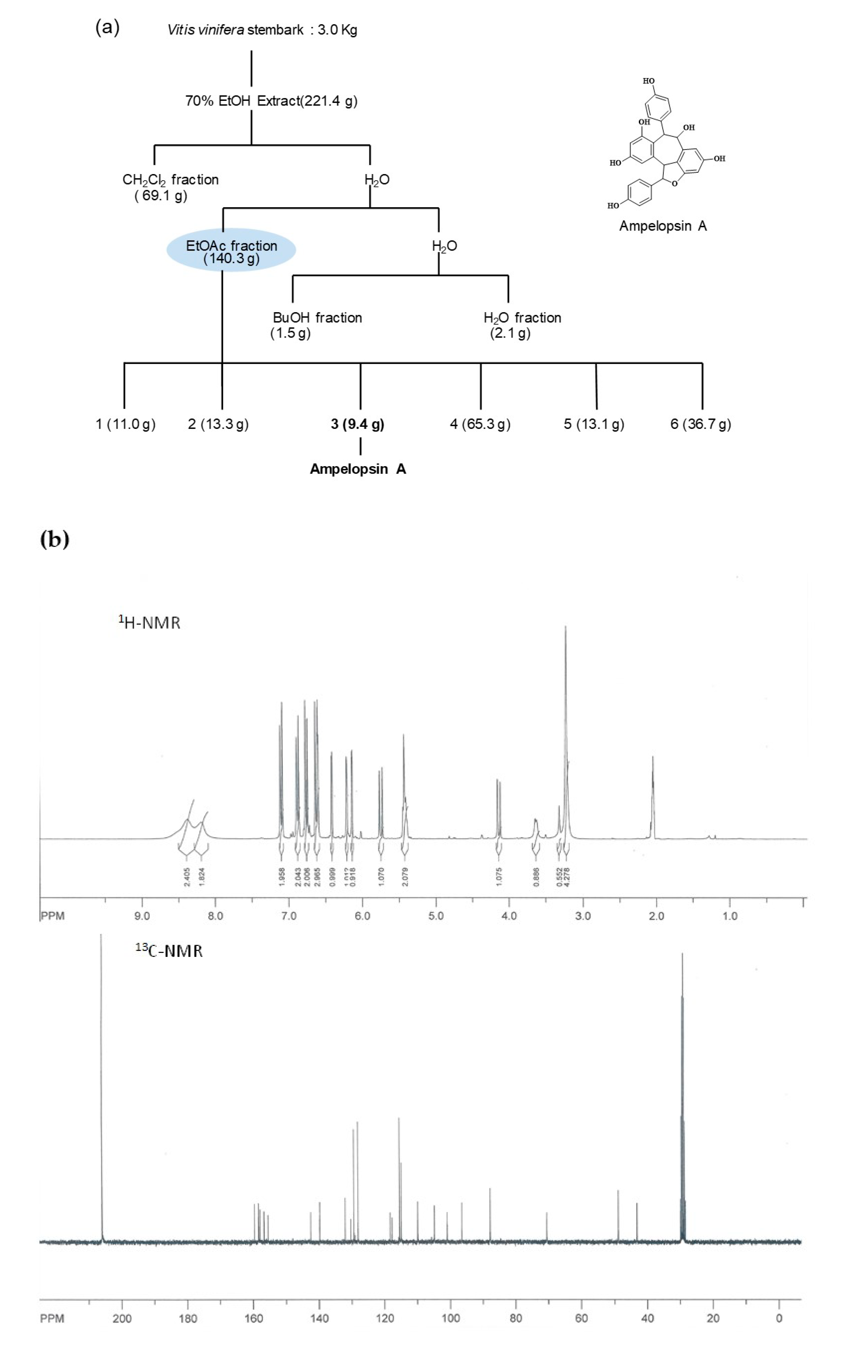Antioxidants 10 00835 g001a
