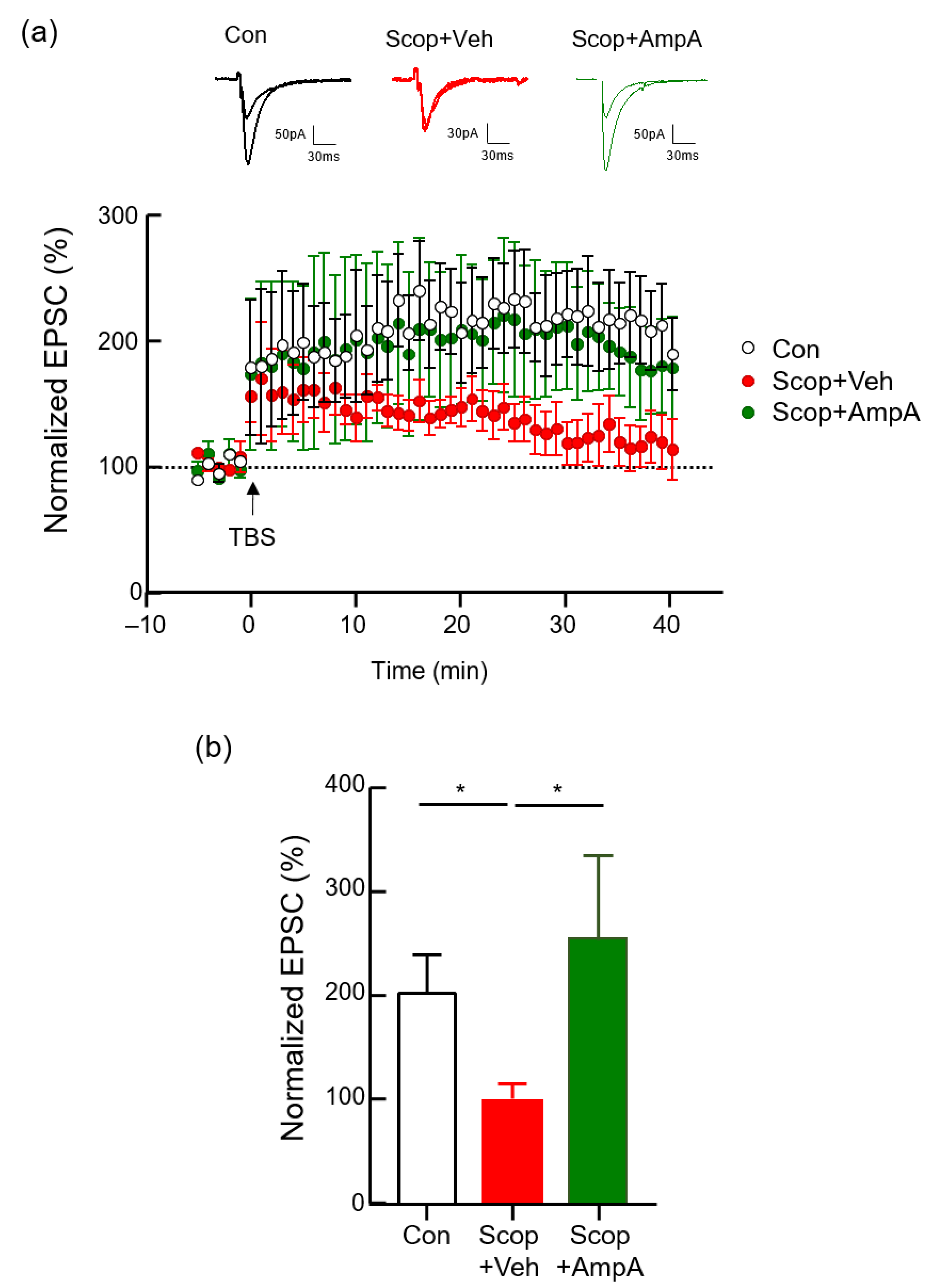 Antioxidants 10 00835 g002