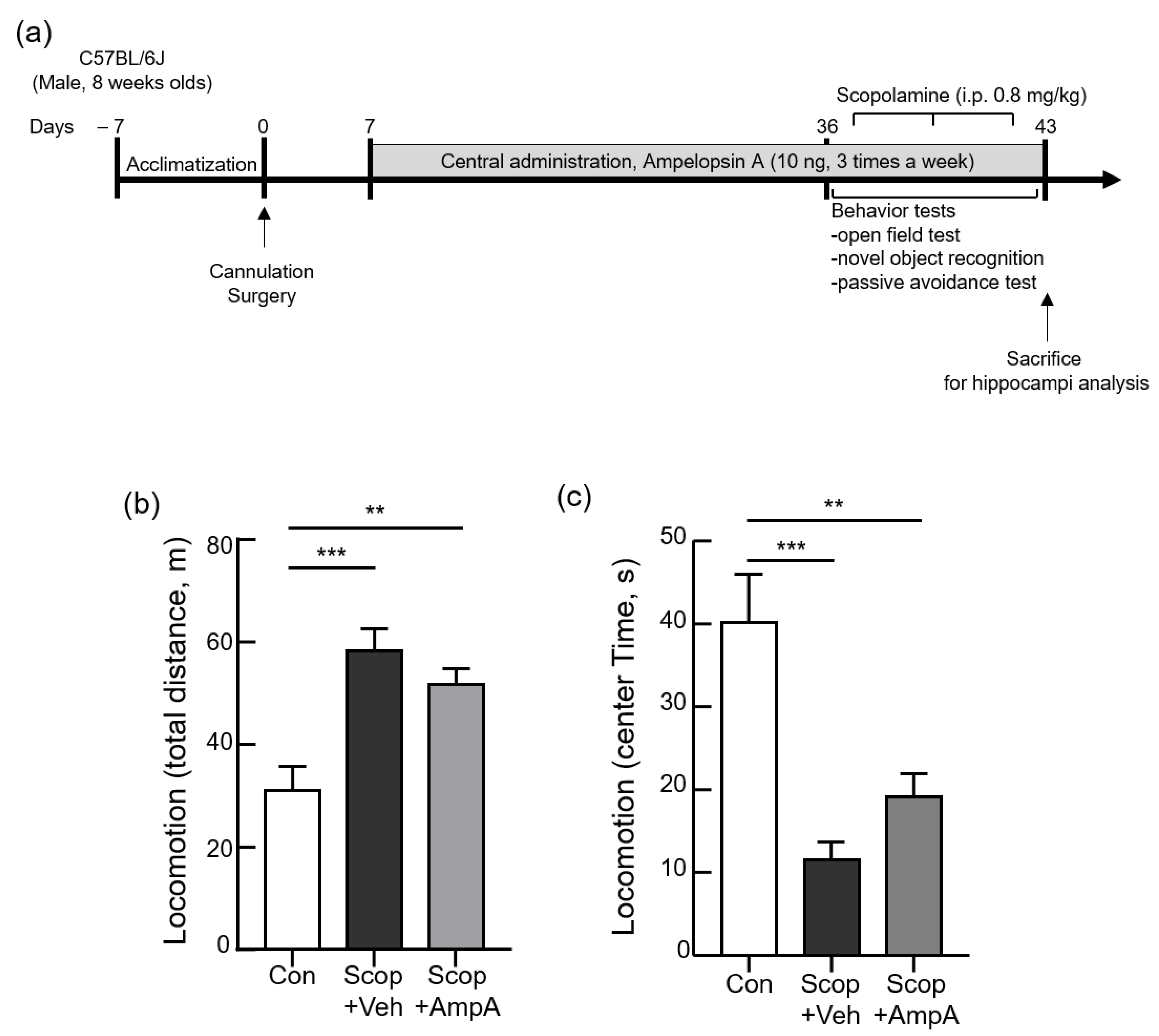 Antioxidants 10 00835 g003