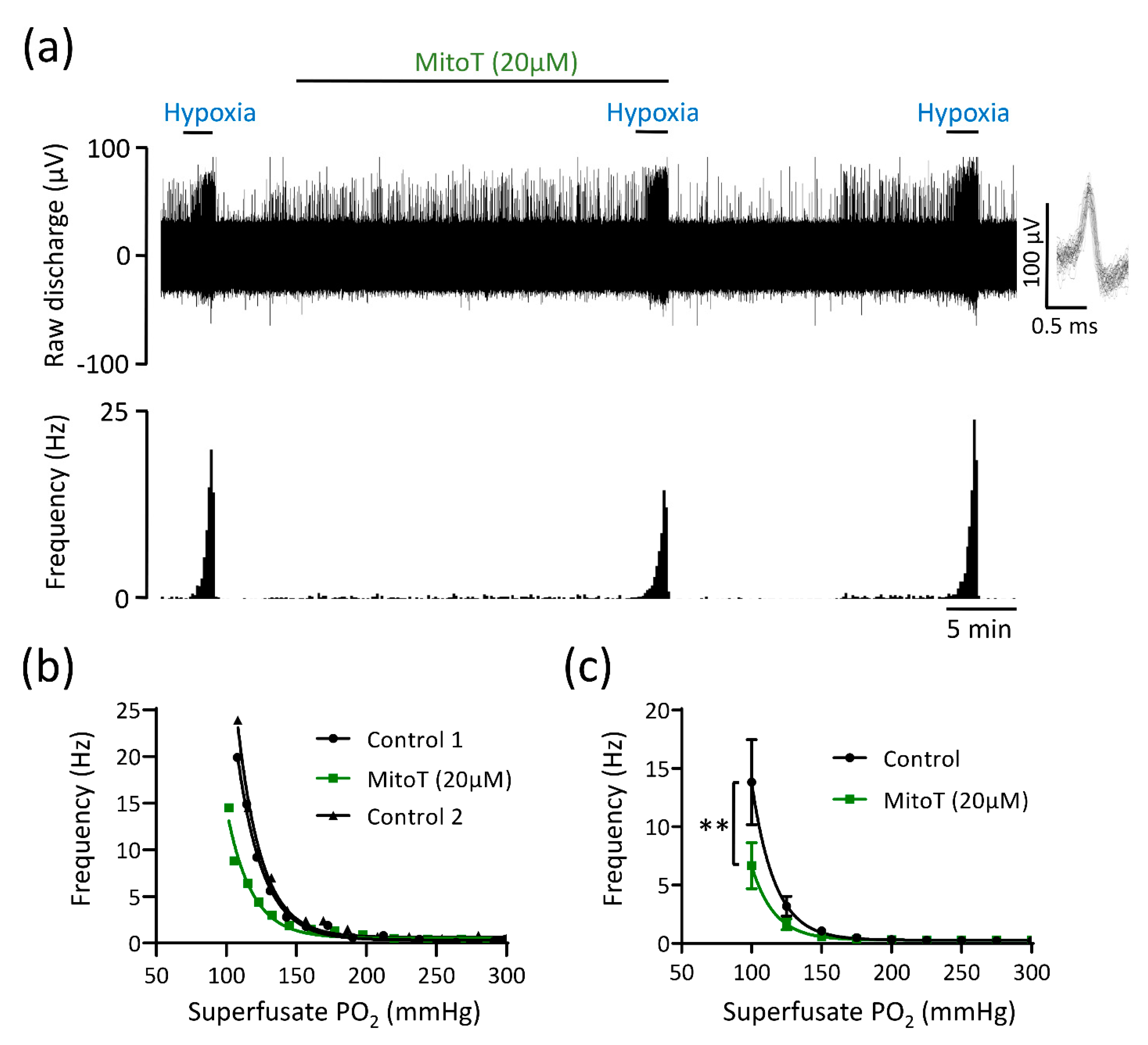 Antioxidants 10 00840 g005 Antioxidants 10 00840 g005