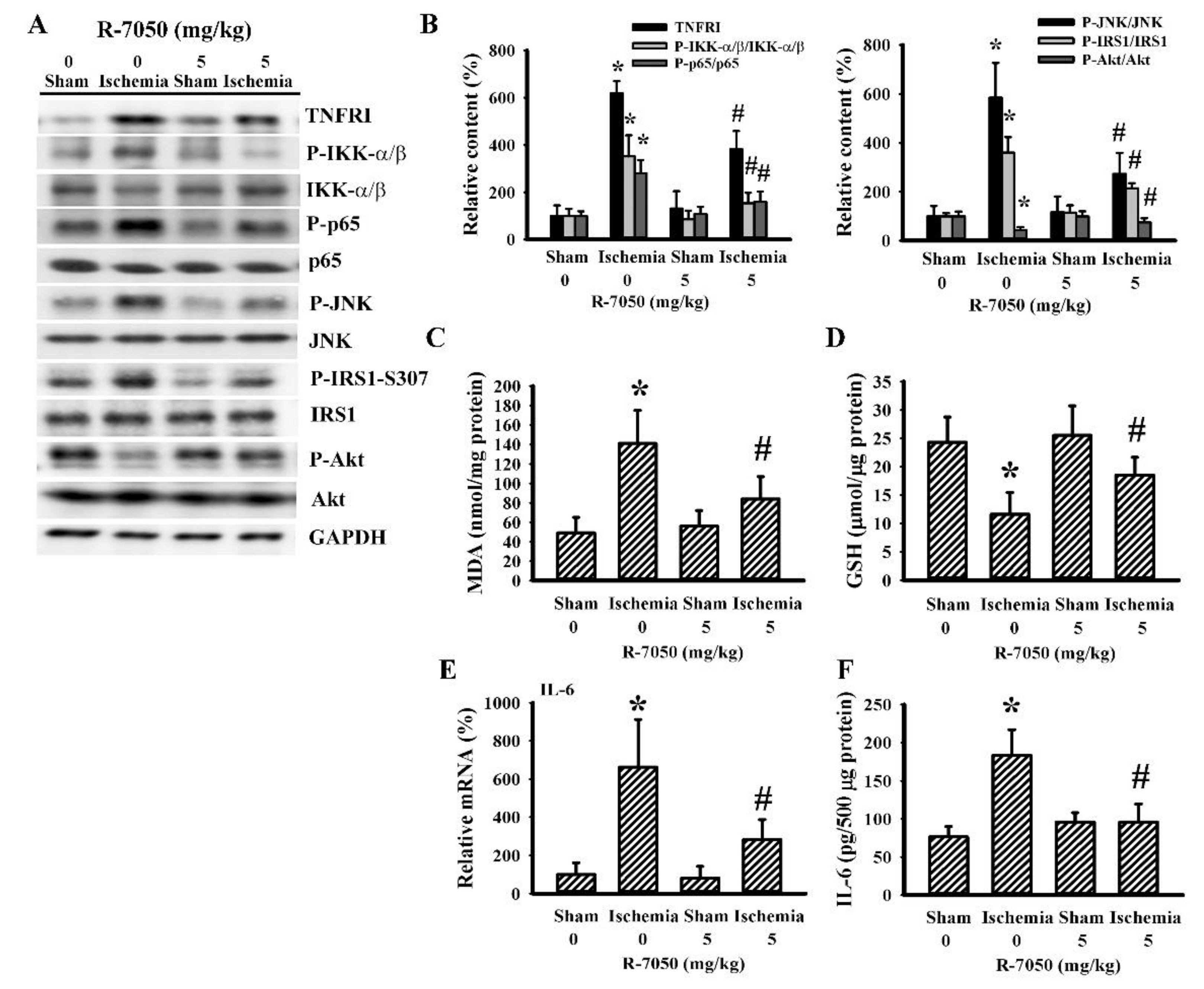 Antioxidants 10 00851 g005 Antioxidants 10 00851 g005