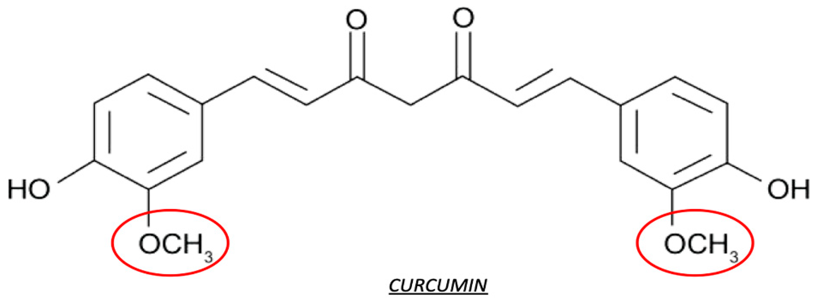 Antioxidants 10 00858 g006 Antioxidants 10 00858 g006