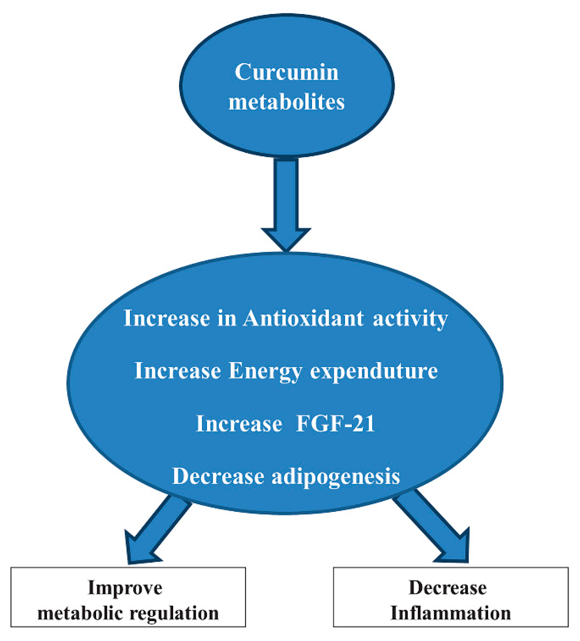 Antioxidants 10 00858 g007 Antioxidants 10 00858 g007