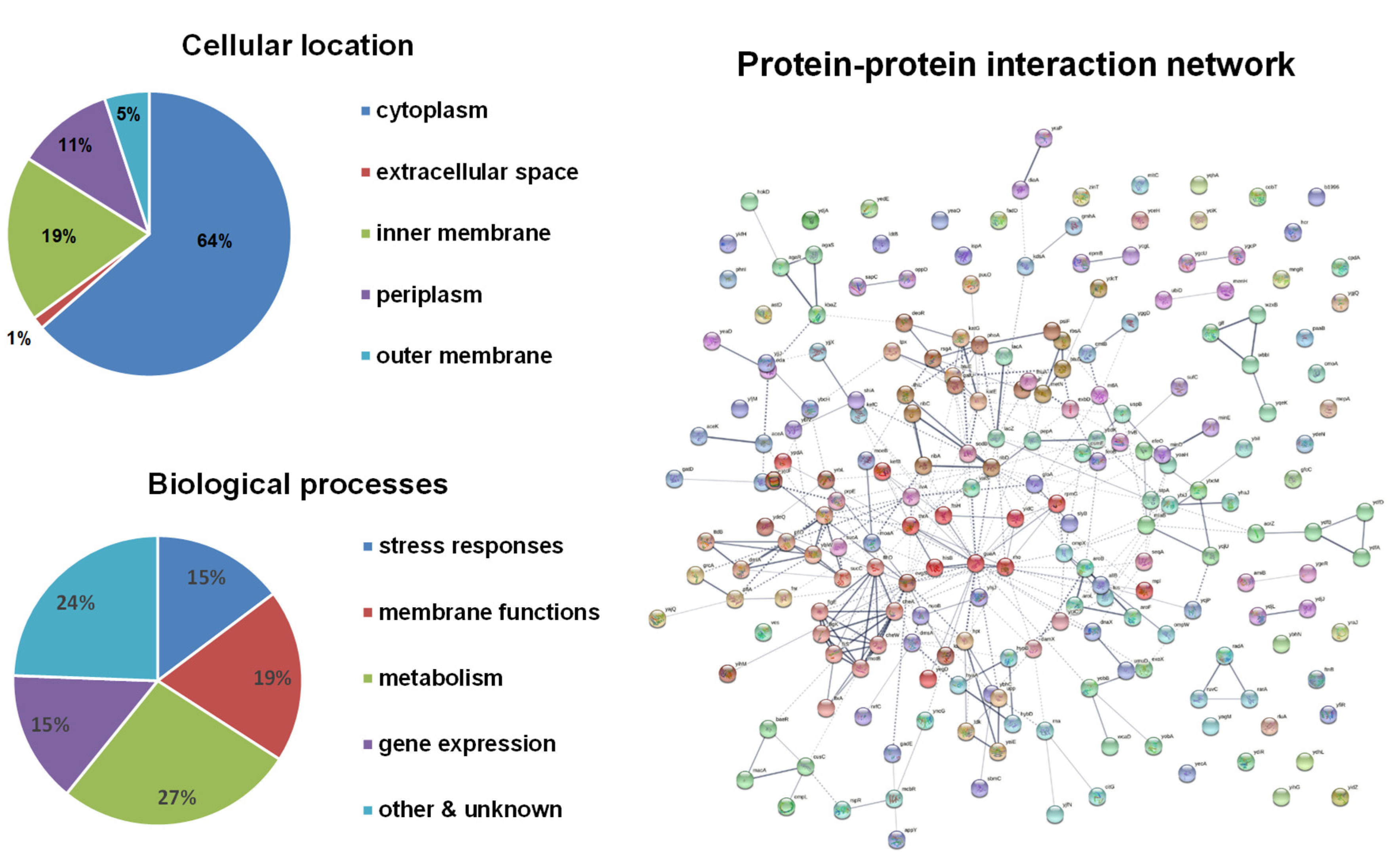 Antioxidants 10 00861 g001 Antioxidants 10 00861 g001