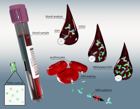 Antioxidants | Free Full-Text | Blood Plasma Quality Control by ...