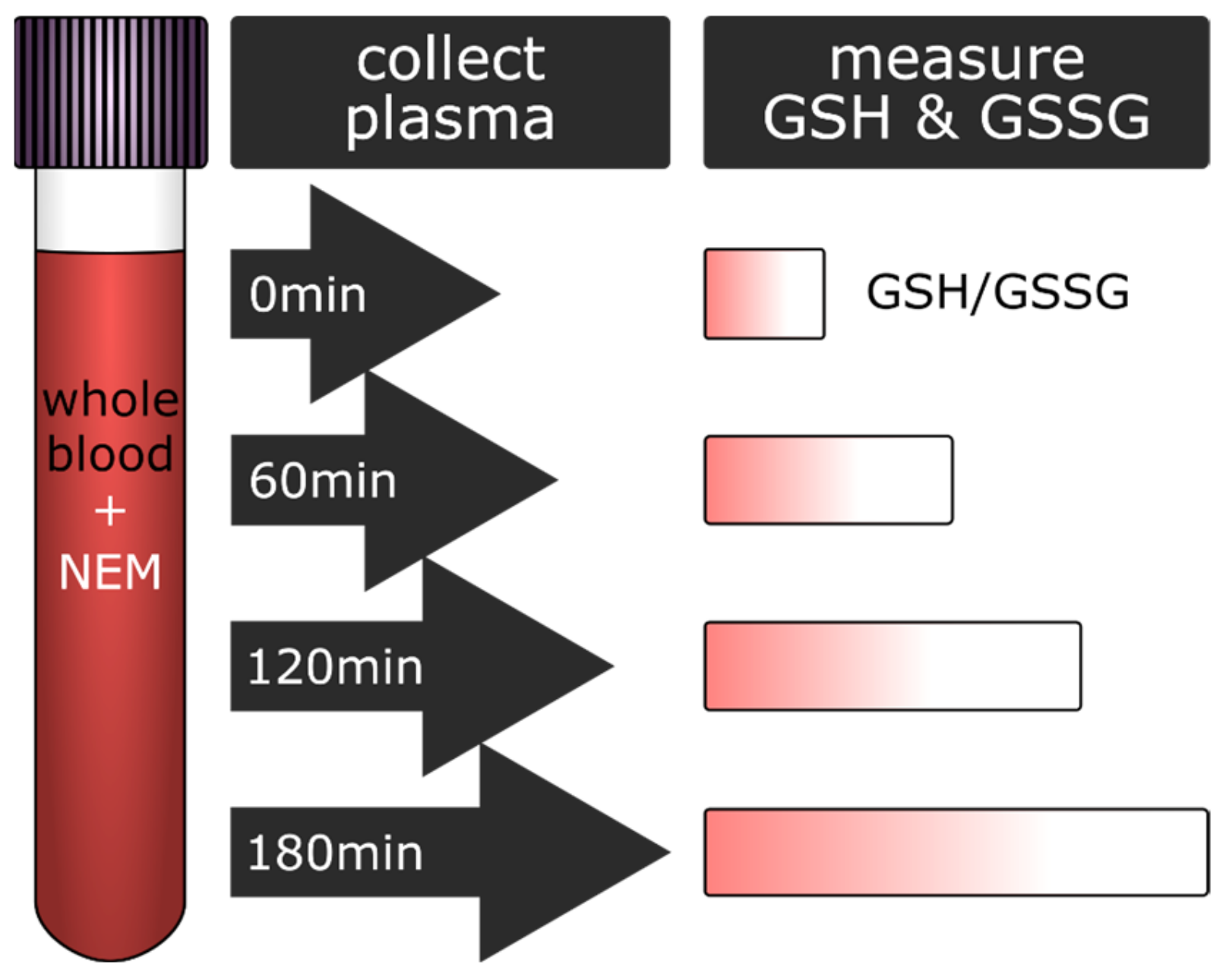 Antioxidants | Free Full-Text | Blood Plasma Quality Control by ...