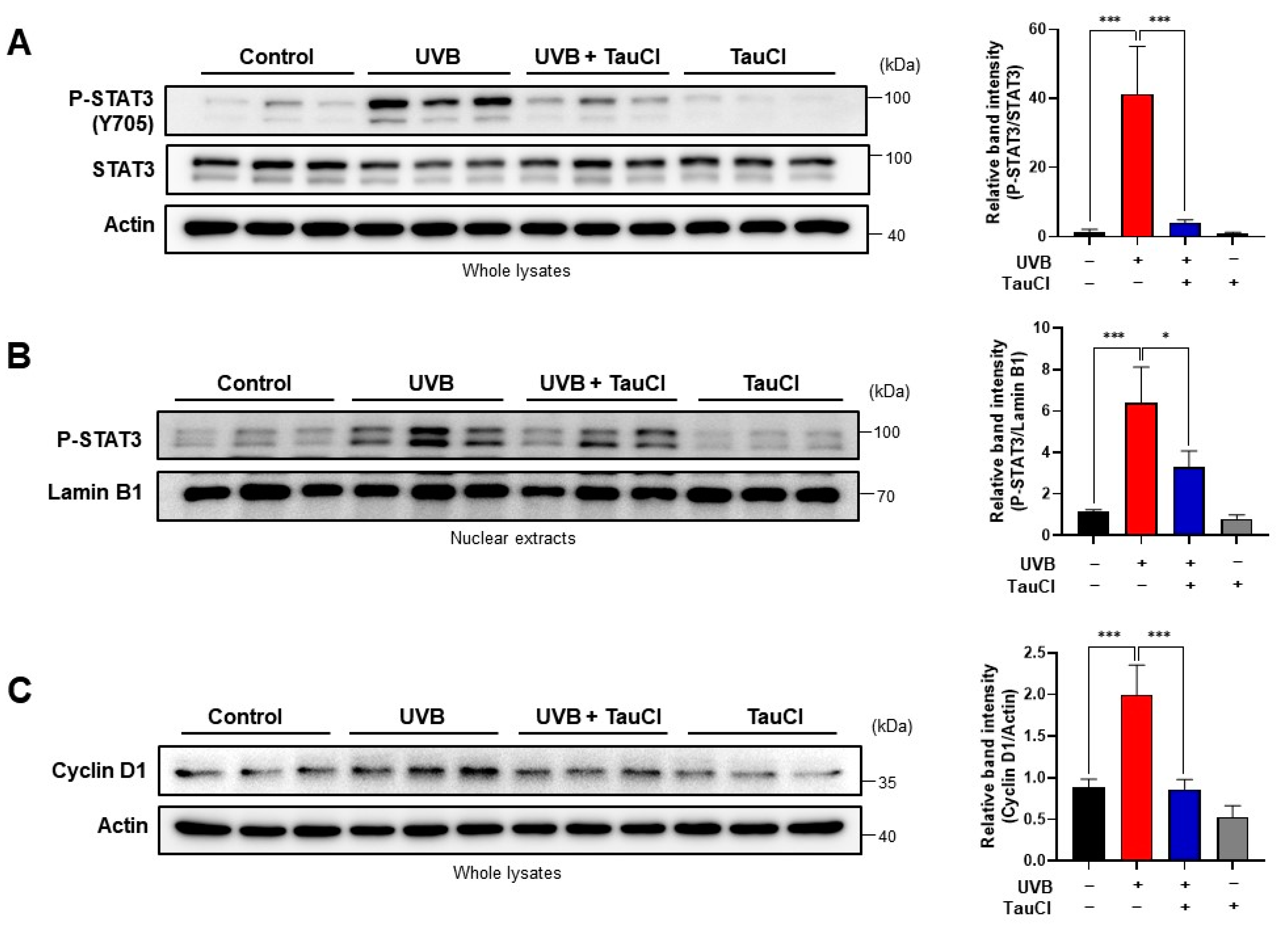 Antioxidants 10 00867 g005 Antioxidants 10 00867 g005
