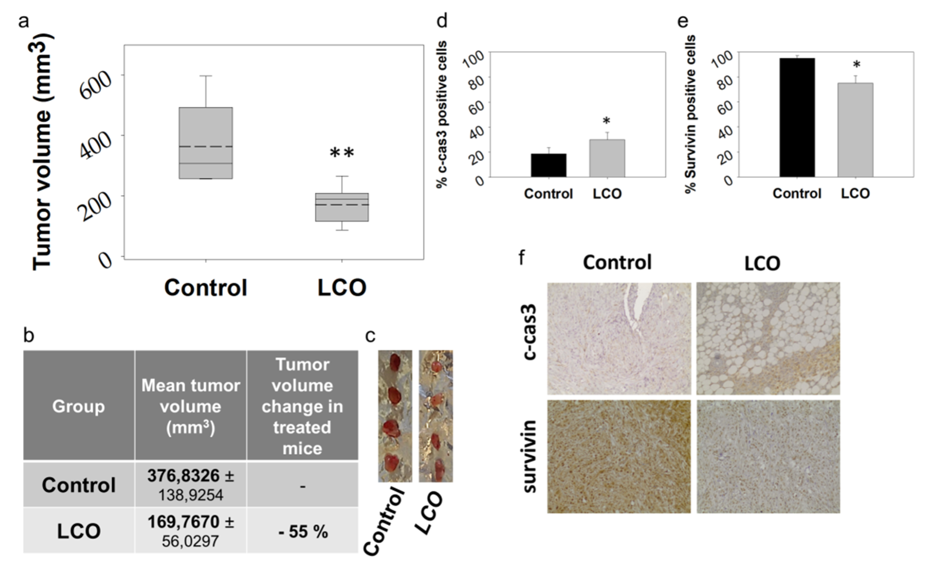 Antioxidants 10 00875 g005