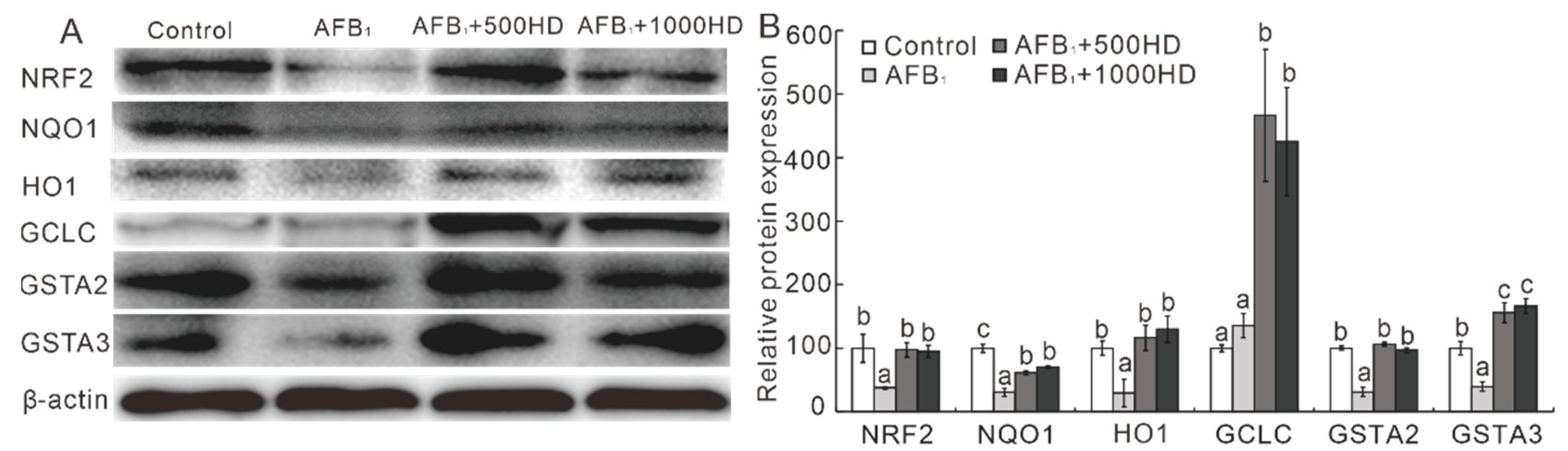 Antioxidants 10 00878 g004 Antioxidants 10 00878 g004