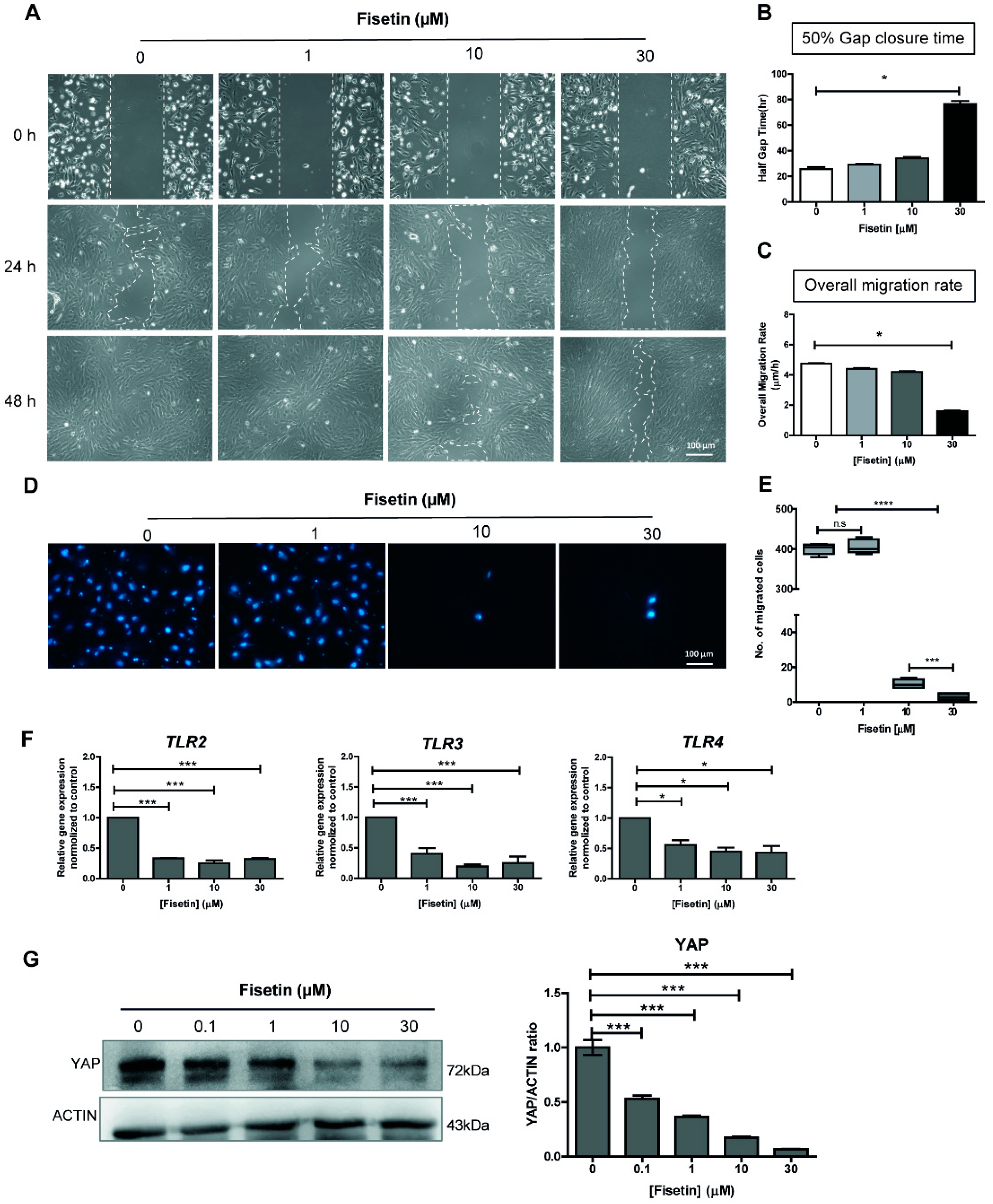 Antioxidants 10 00879 g001