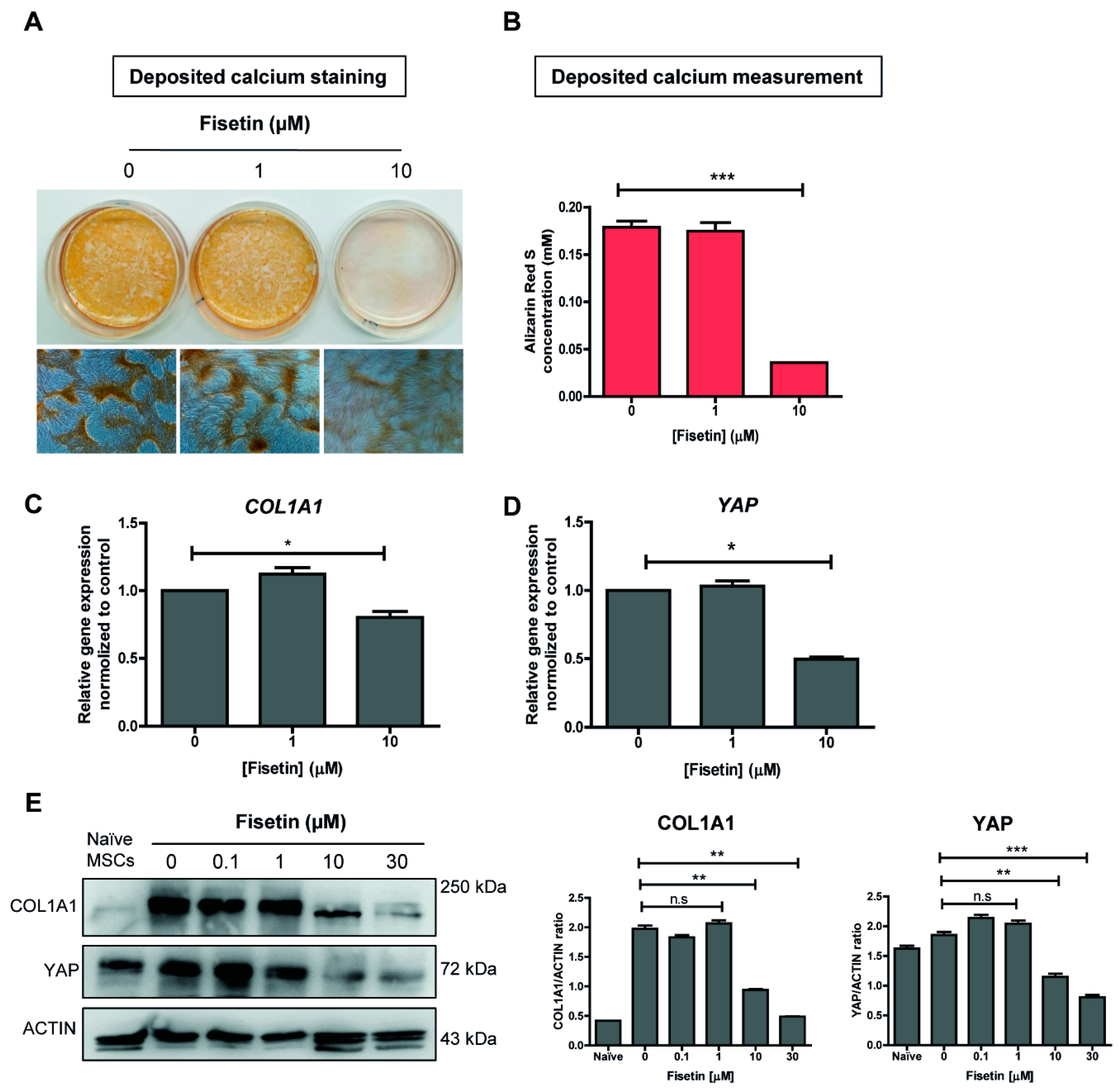 Antioxidants 10 00879 g002