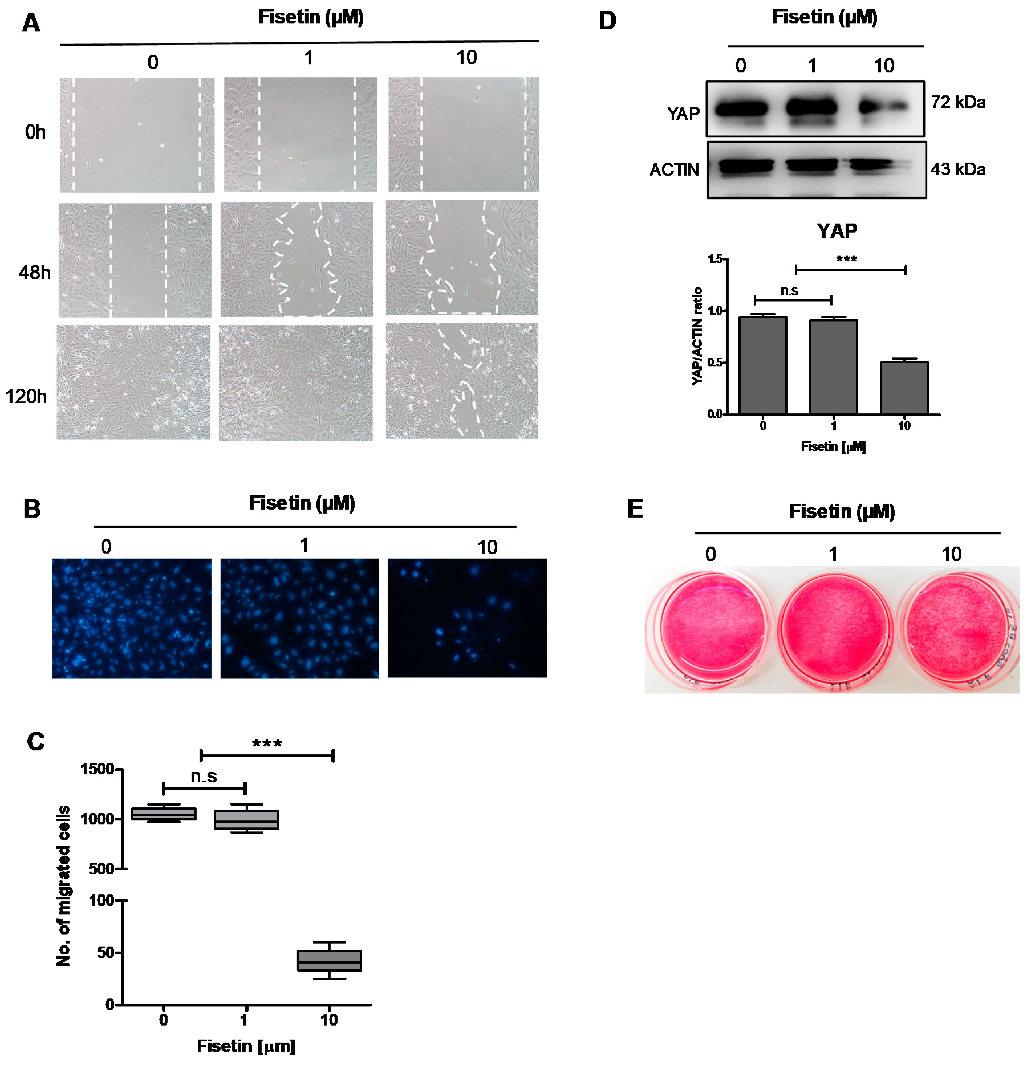 Antioxidants 10 00879 g003