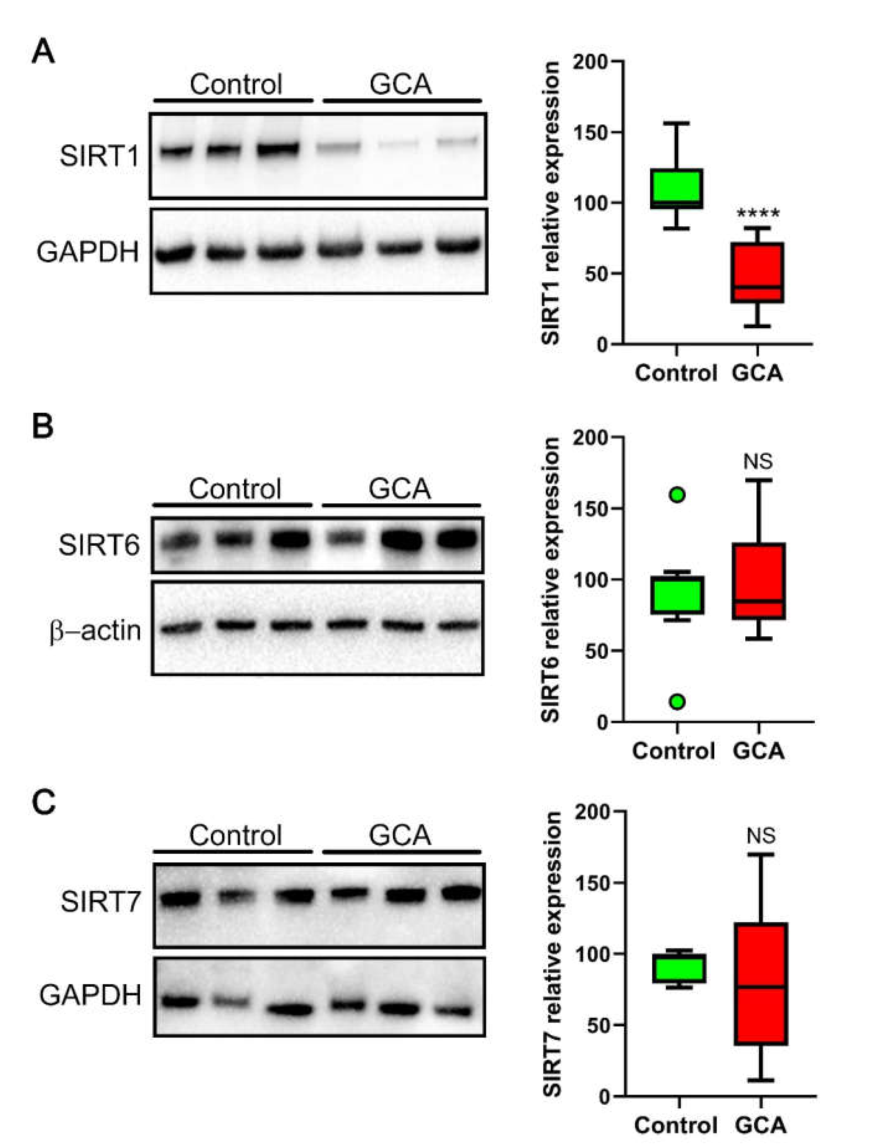 Antioxidants 10 00885 g003 Antioxidants 10 00885 g003