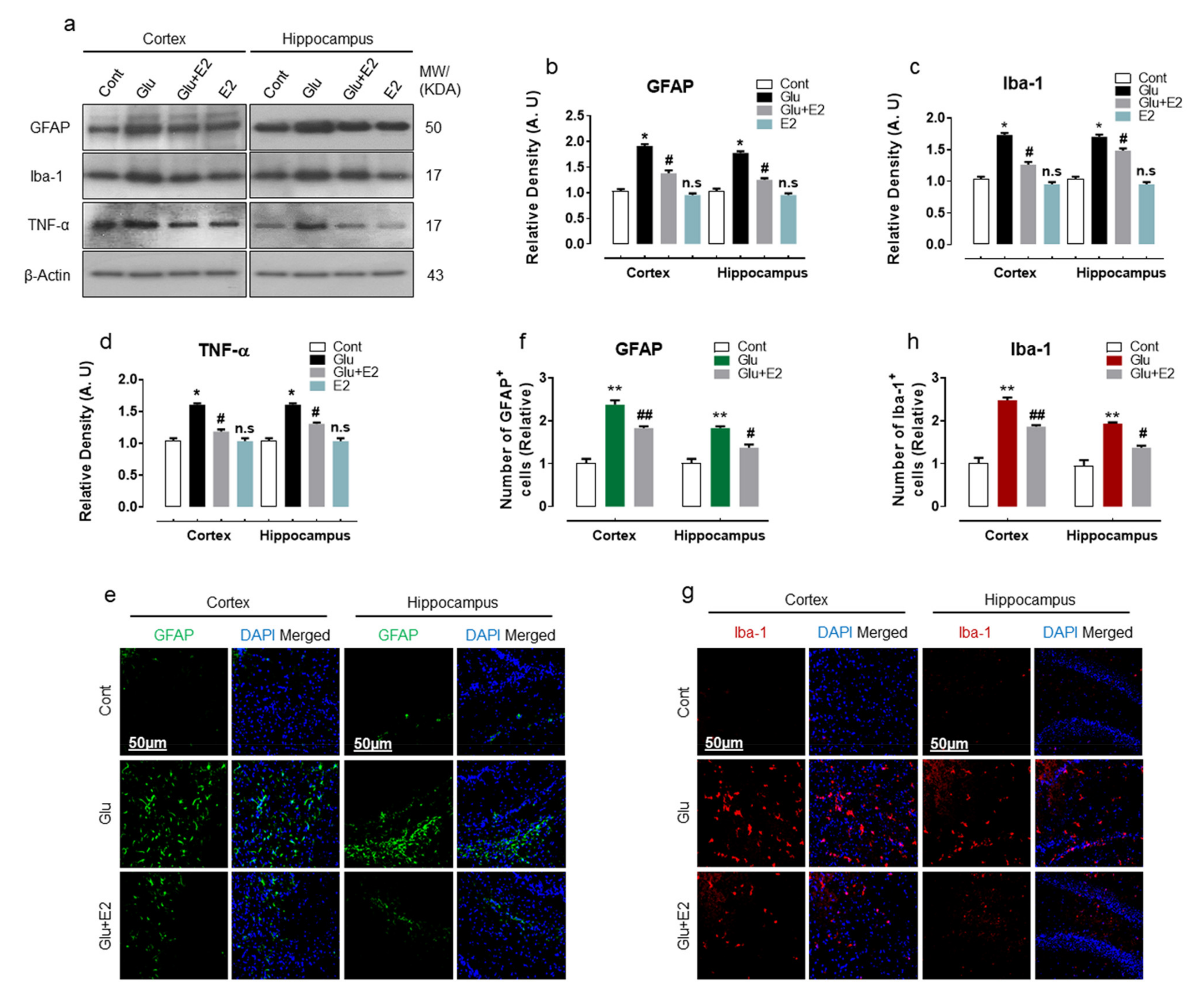Antioxidants 10 00892 g003