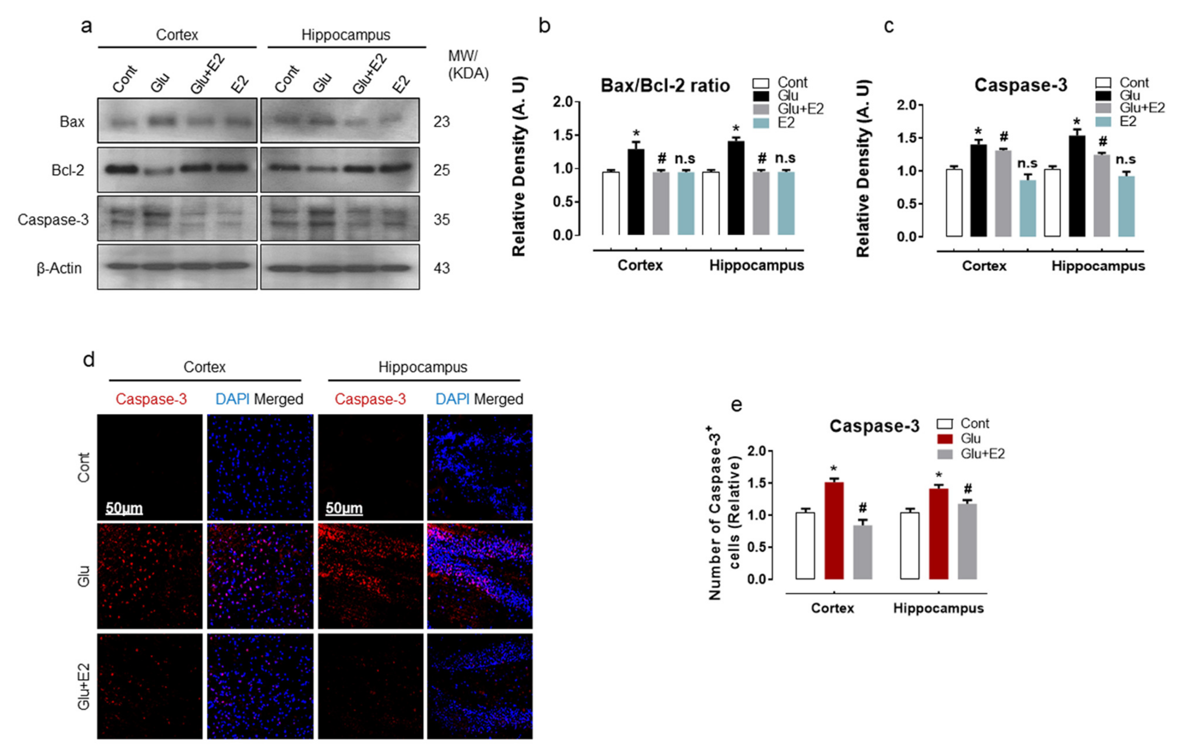 Antioxidants 10 00892 g005