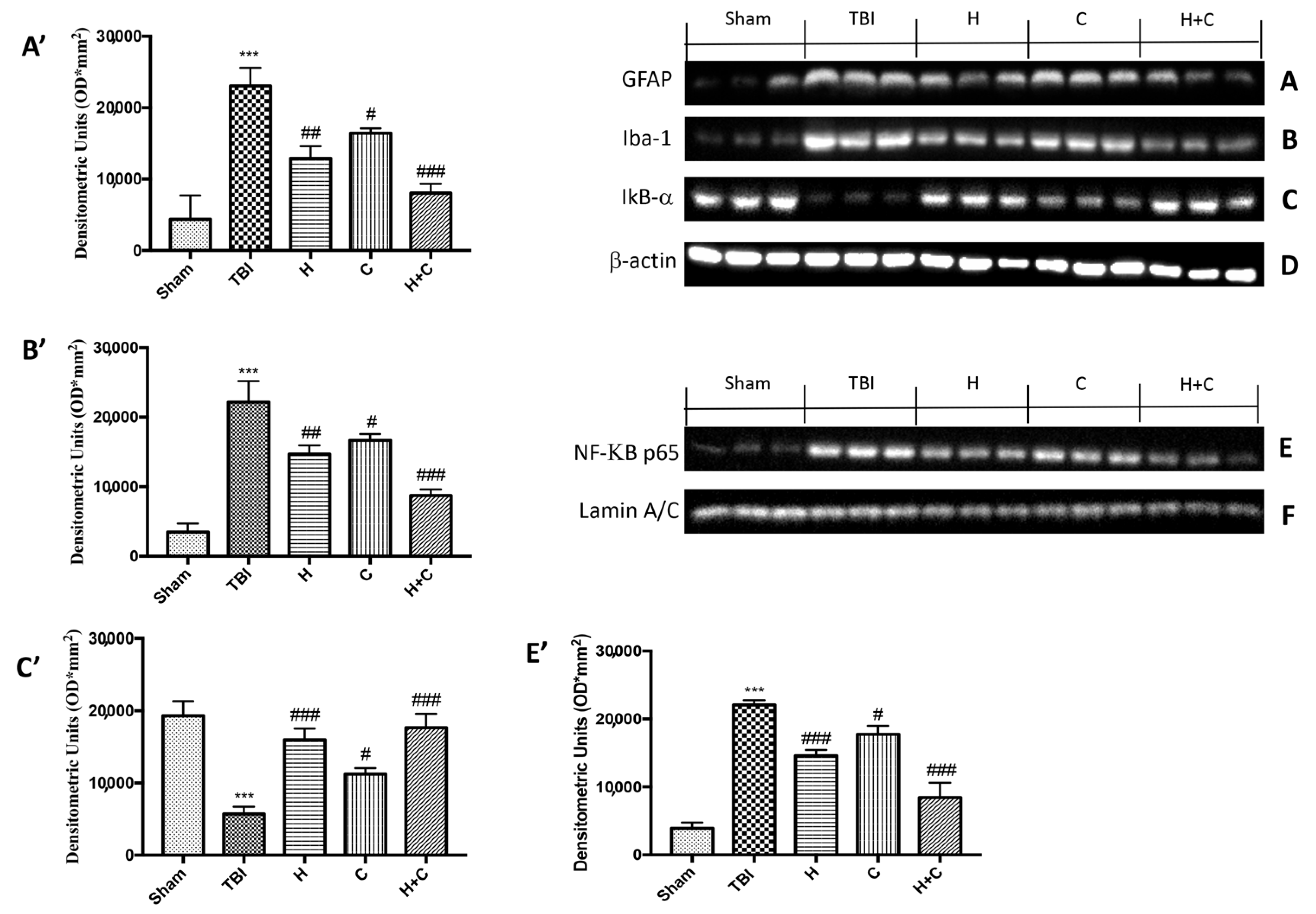 Antioxidants 10 00898 g003 Antioxidants 10 00898 g003