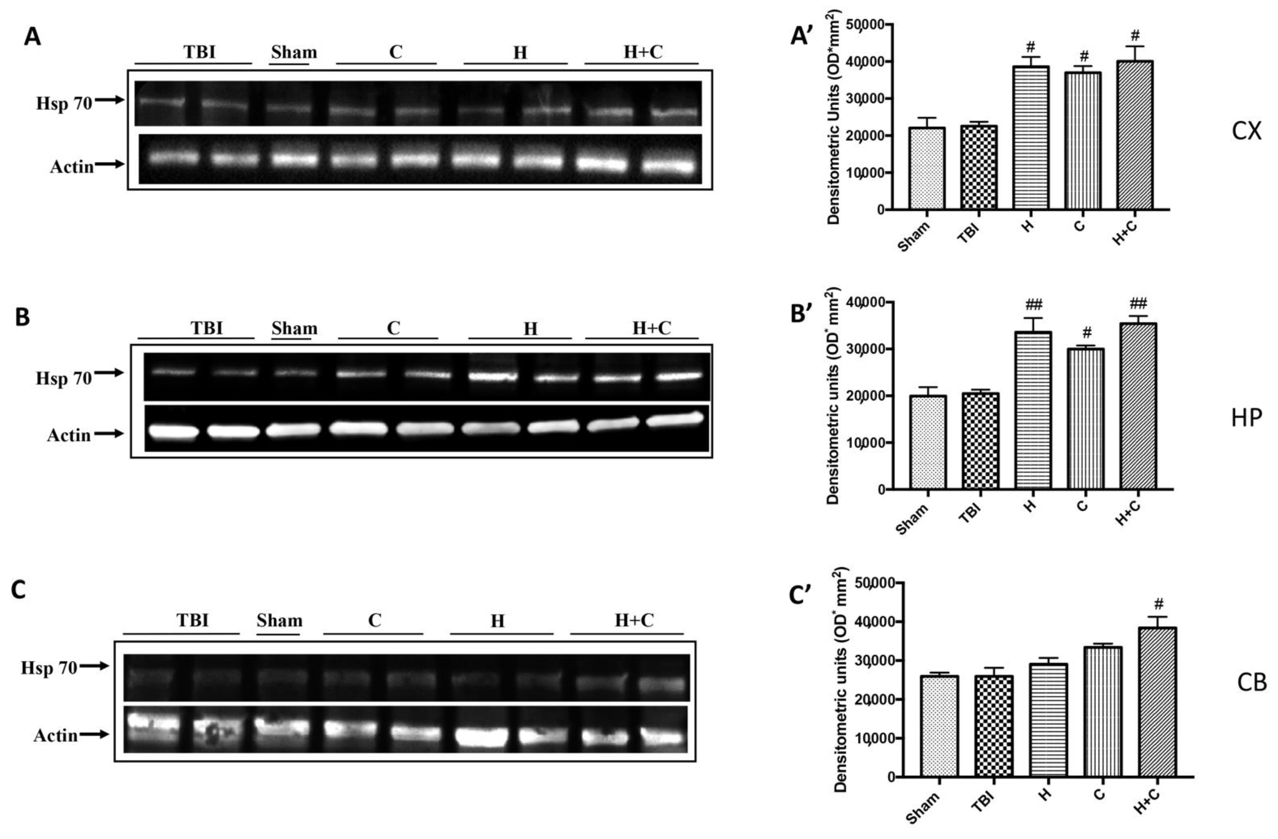 Antioxidants 10 00898 g009 Antioxidants 10 00898 g009
