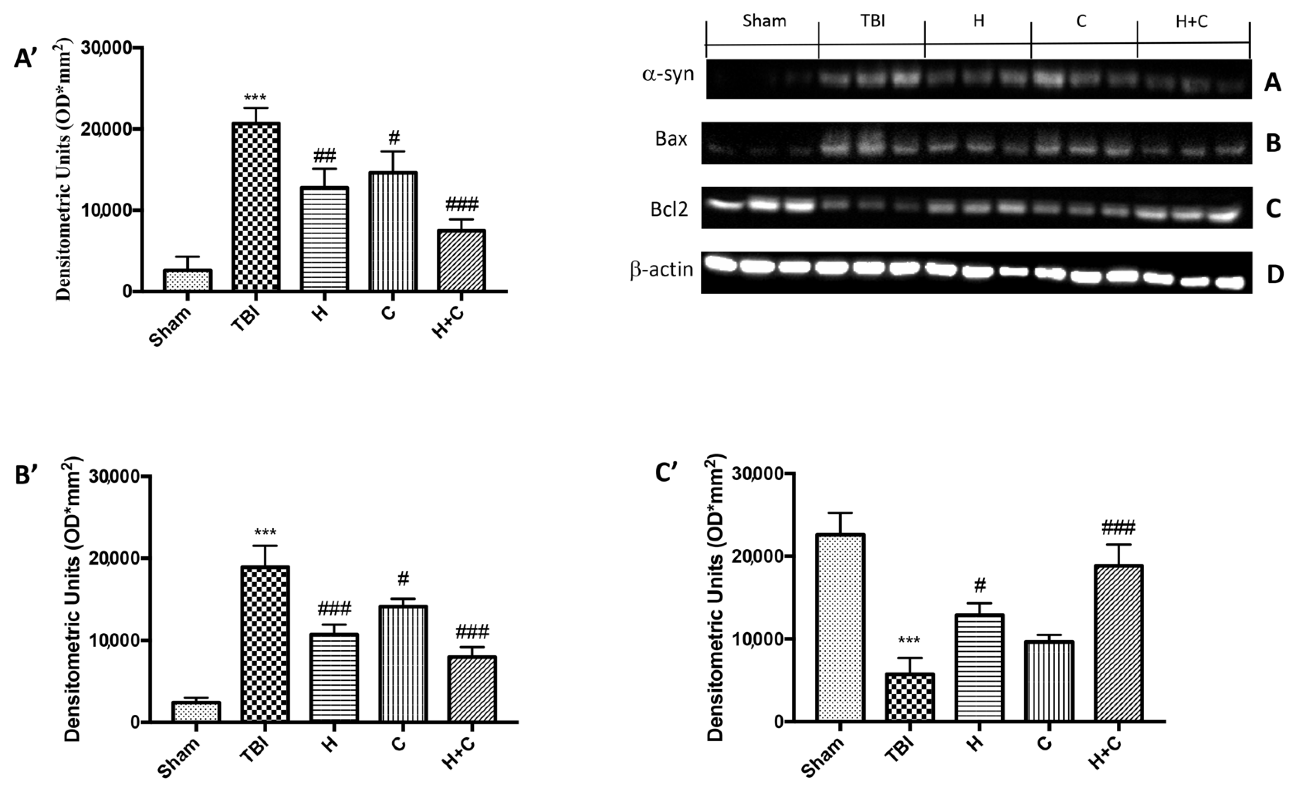 Antioxidants 10 00898 g014 Antioxidants 10 00898 g014
