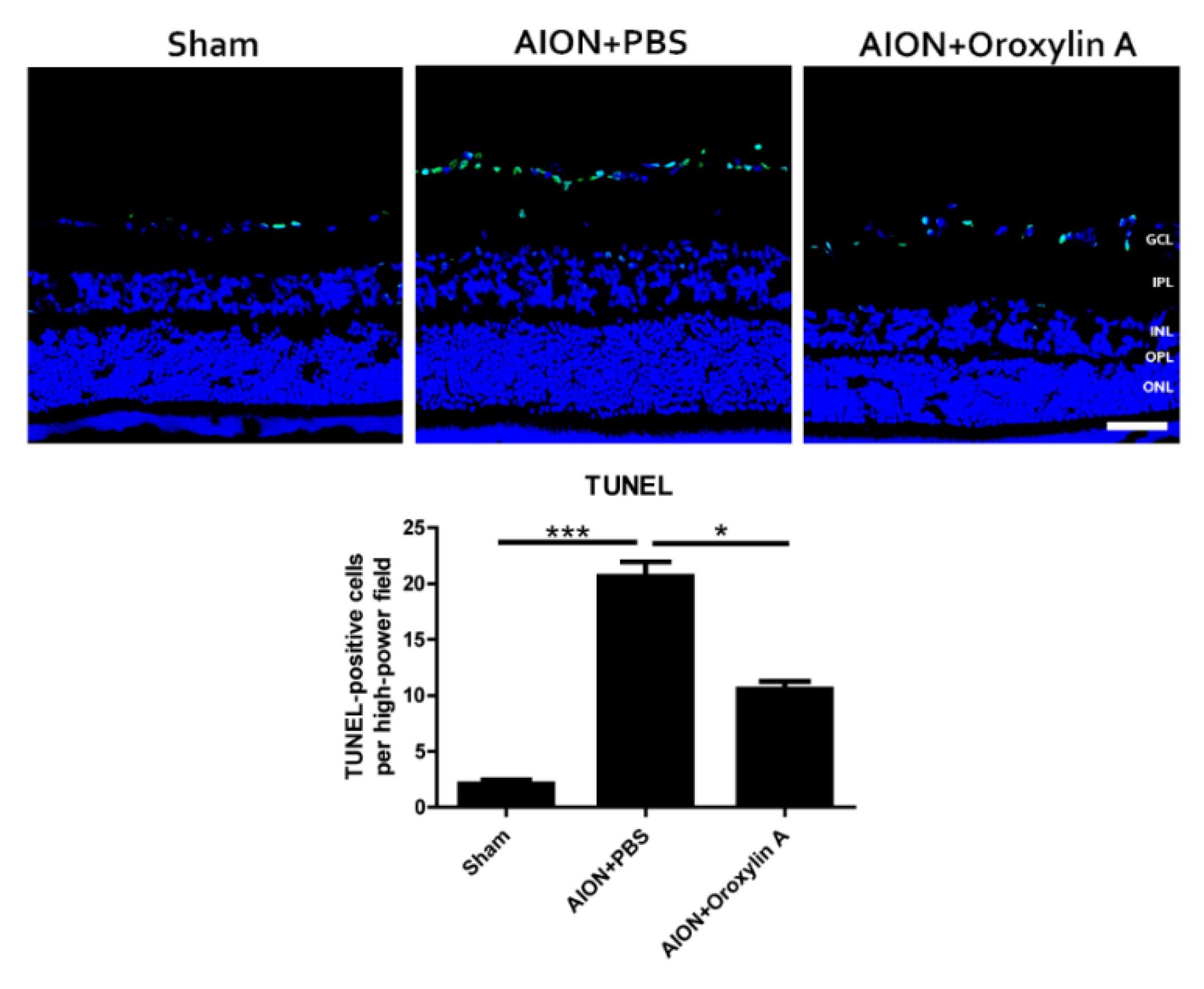 Antioxidants 10 00902 g006